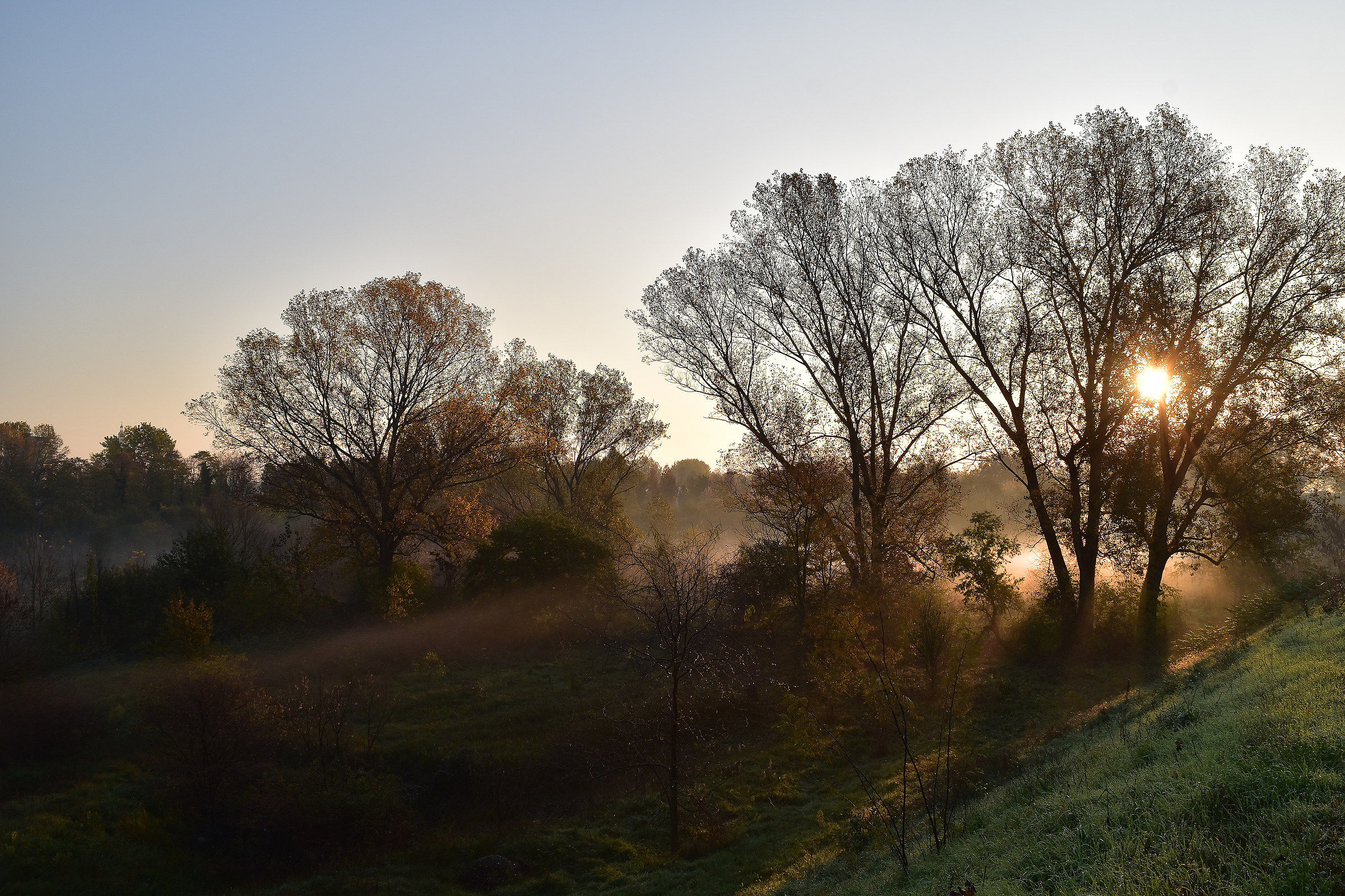 Sunrise on the bank of the Ticino
