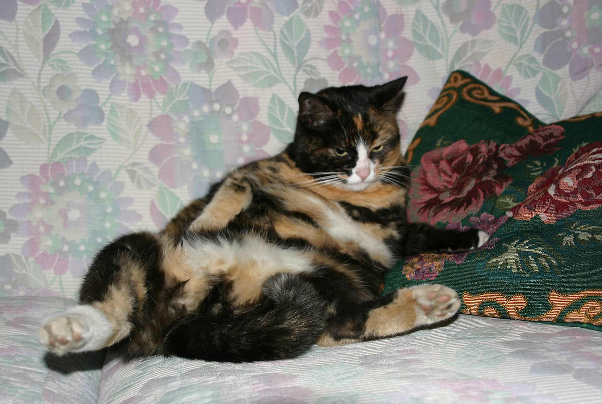 uhmm..quasi quasi mi faccio uno shampo