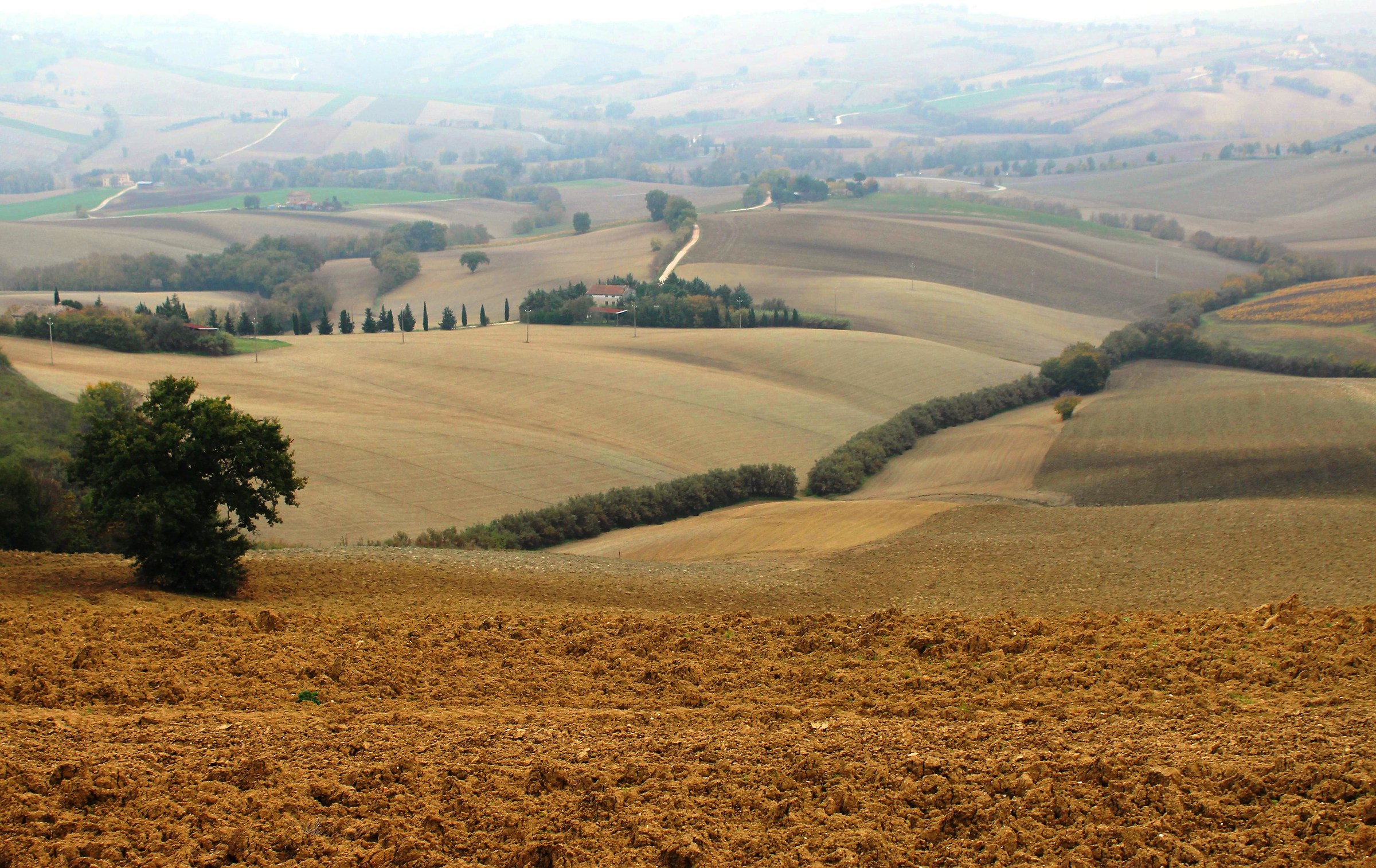 Pronte per la semina