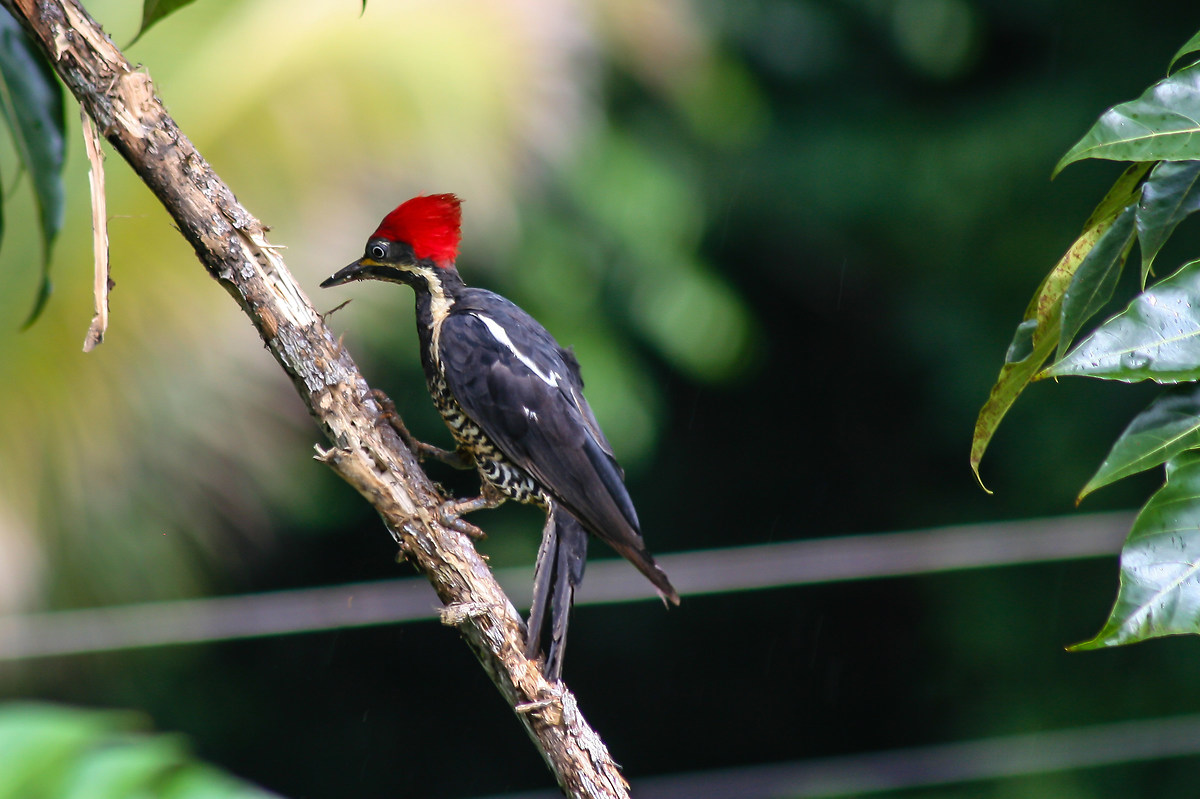 Tapping here and there