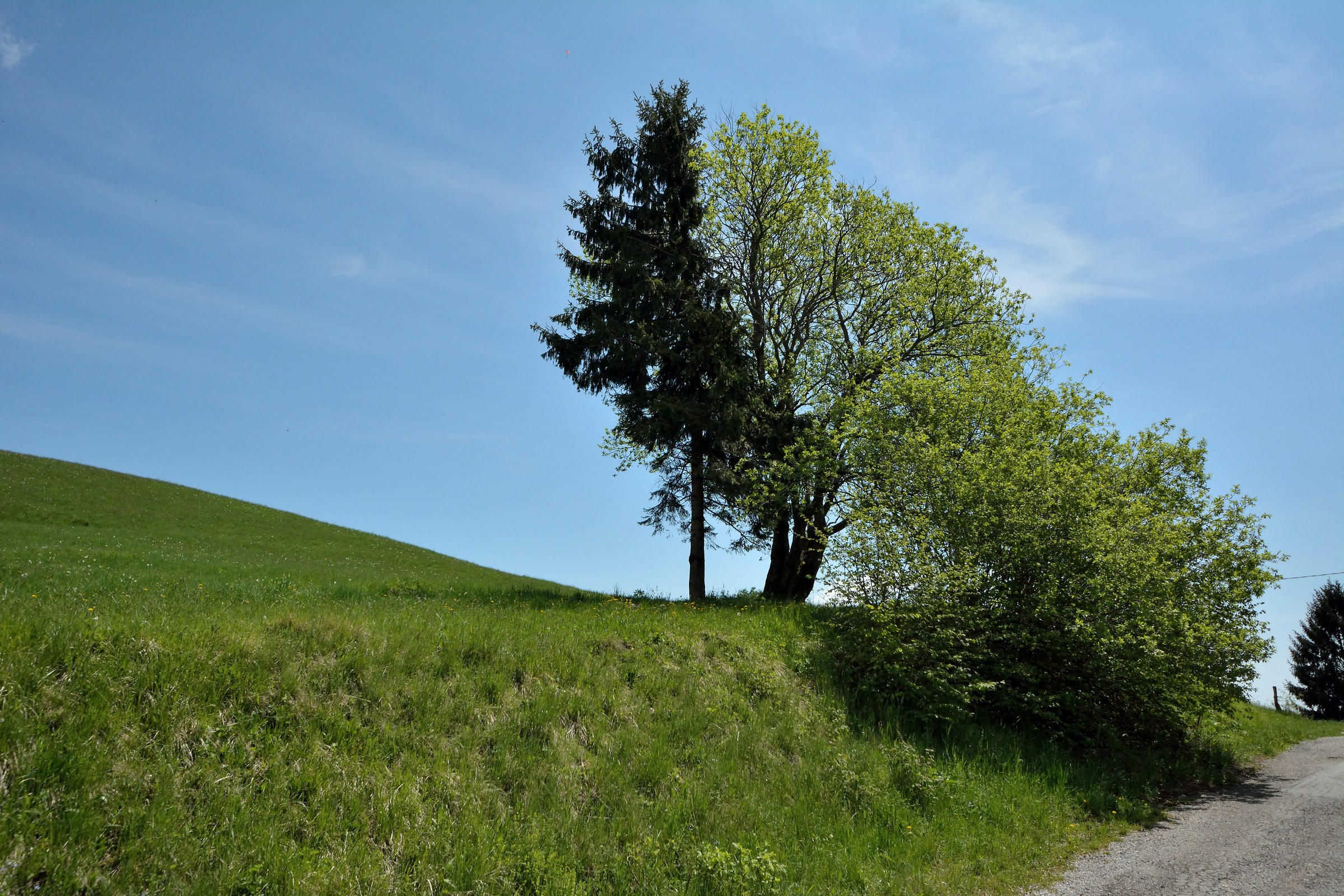 Ad ognuno la propria interpretazione