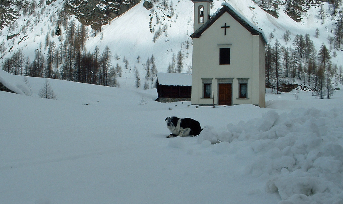 Crampiolo in solitudine