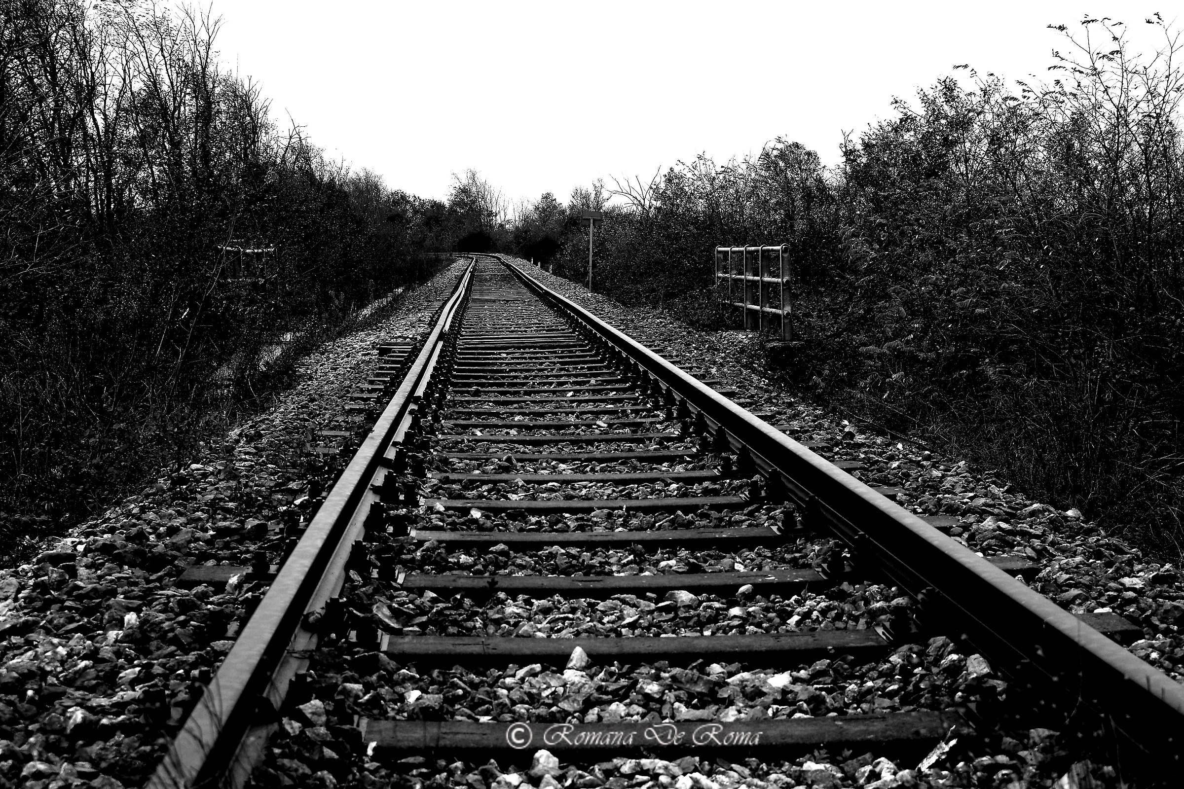 The outward or return