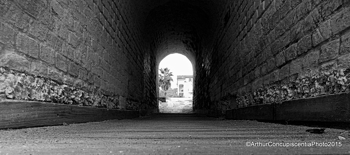tunnel del pensatore