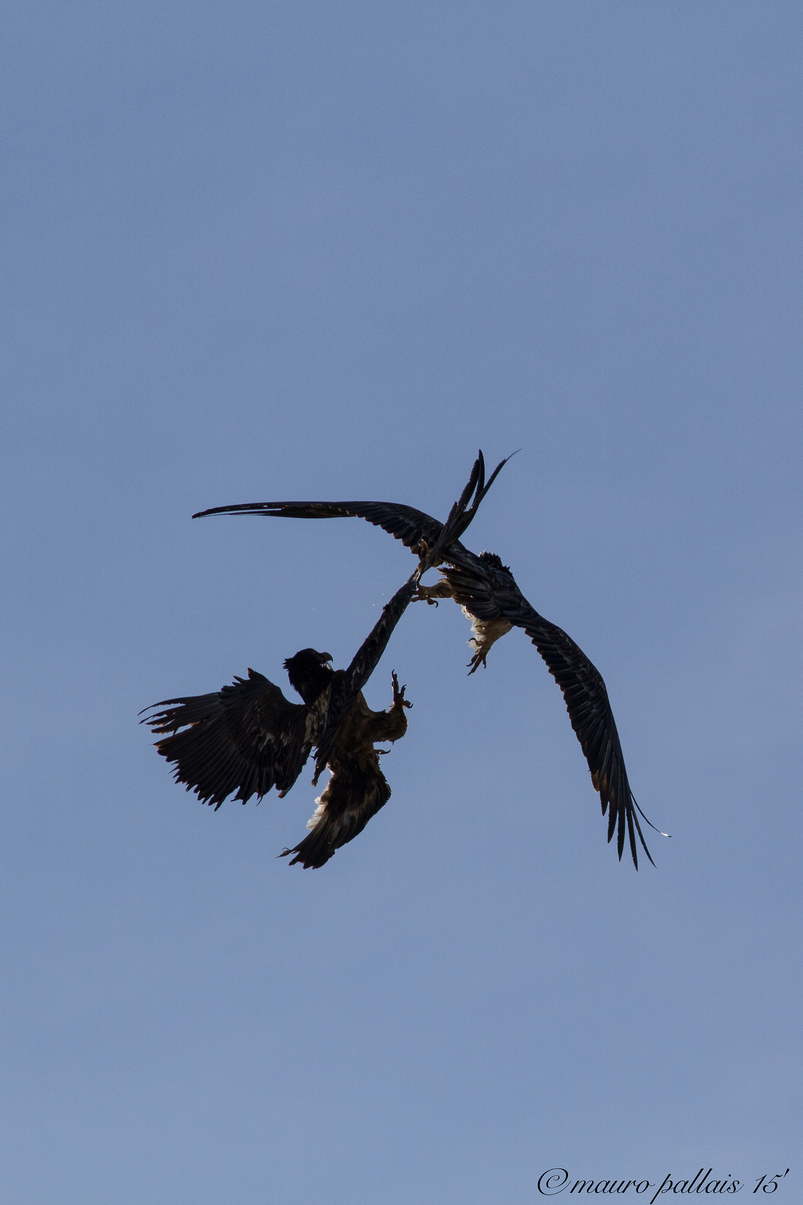 scontro in alta quota