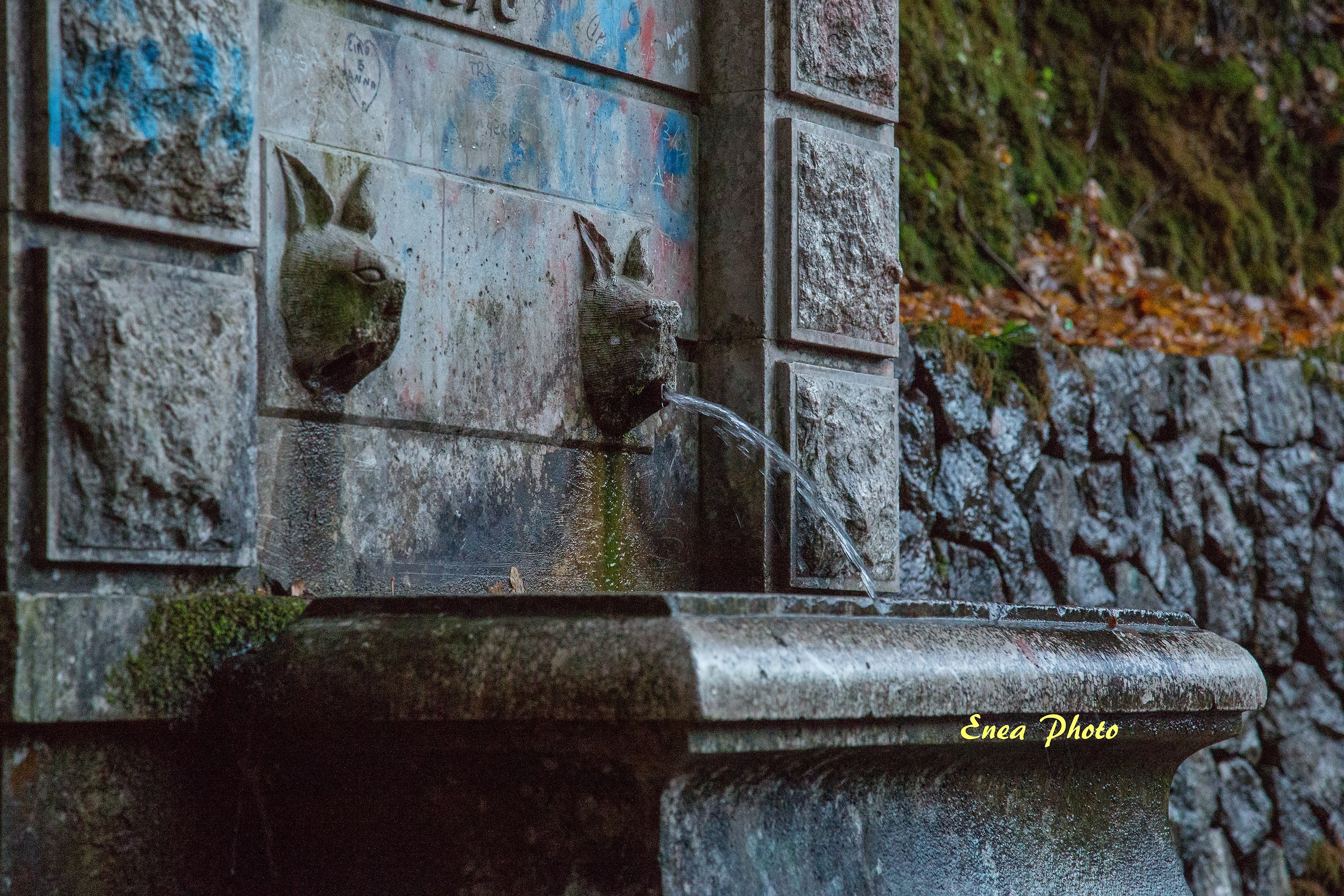 Fontana bocca dei lupi ( almeno quello che ne resta)