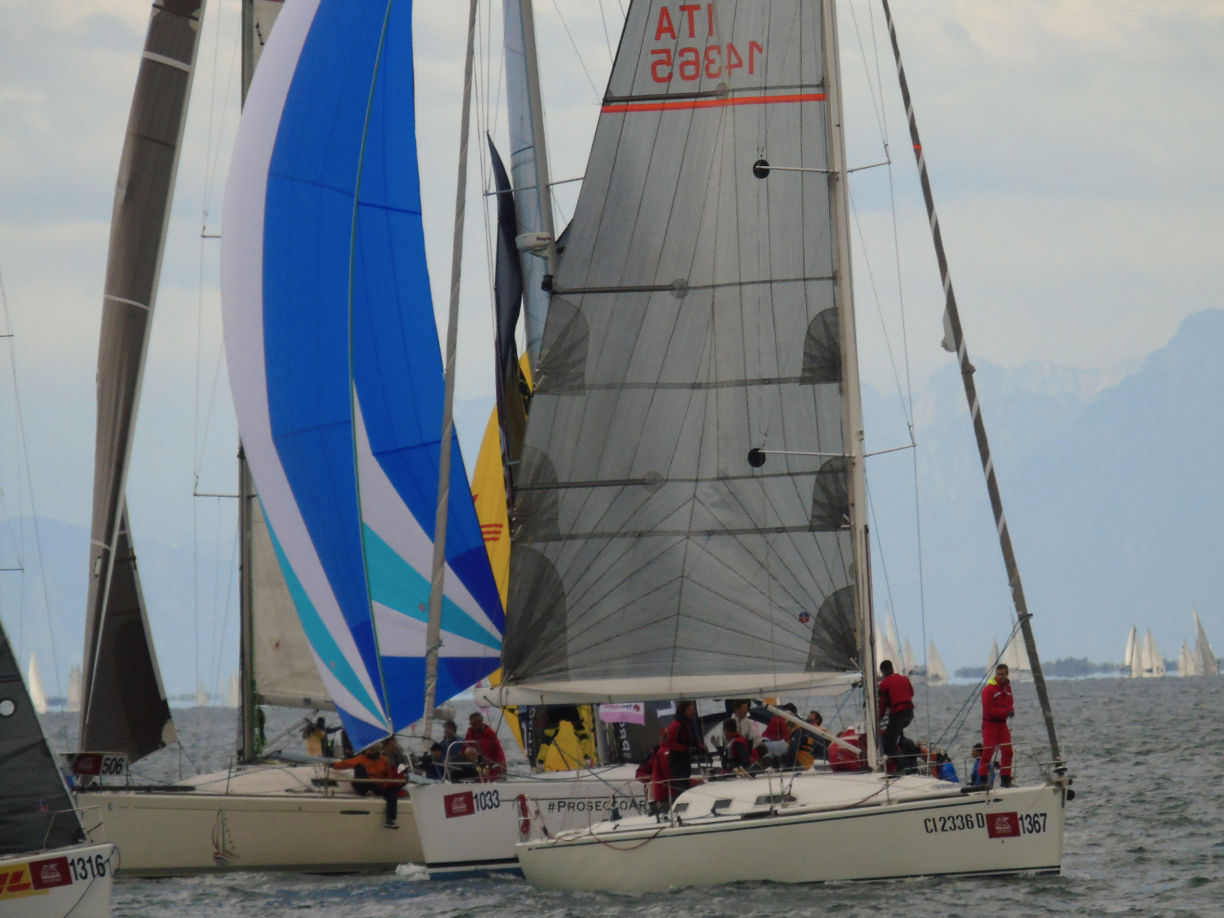 Barcolana 2015