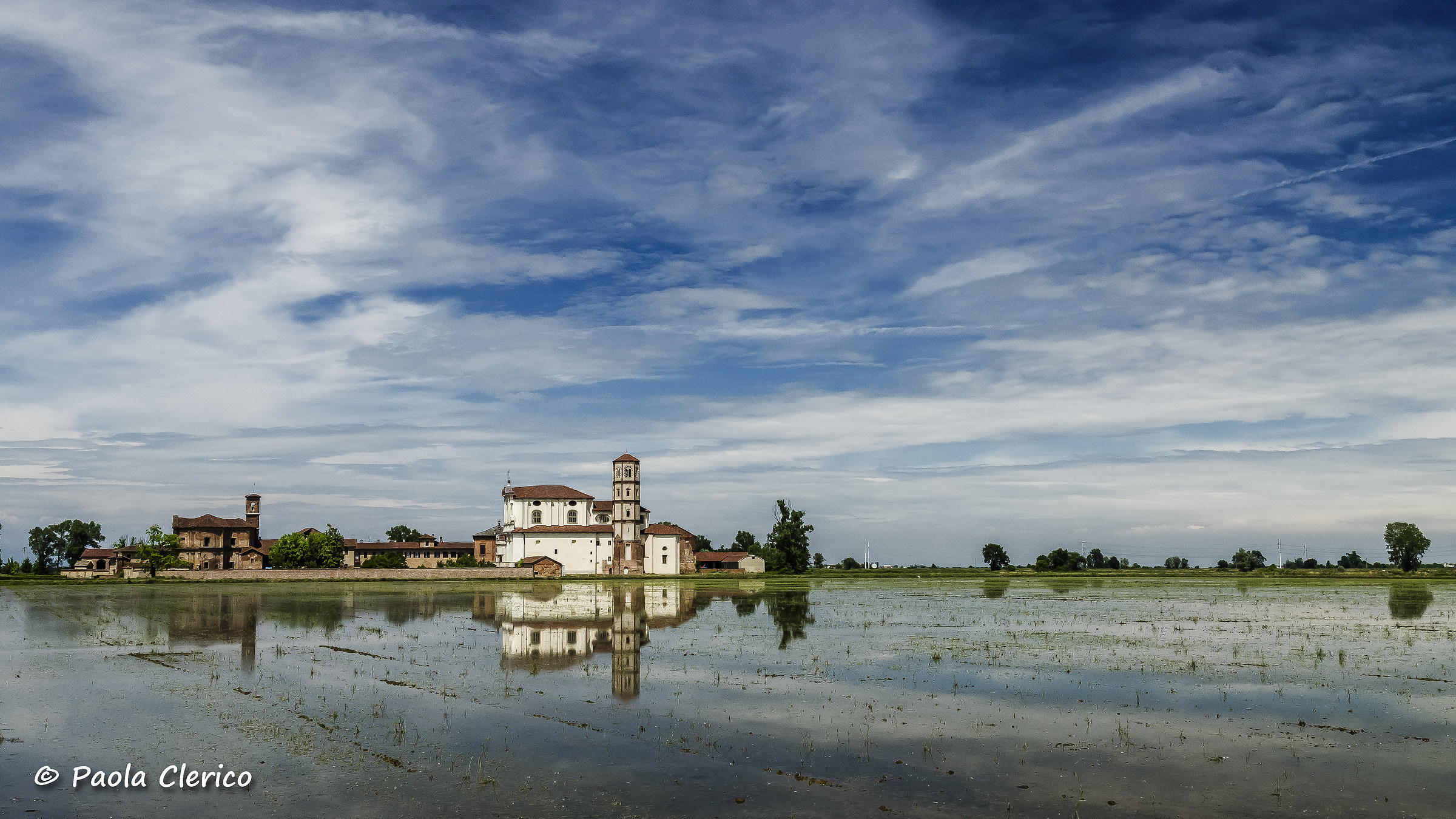 Reflections in paddy Lucedio