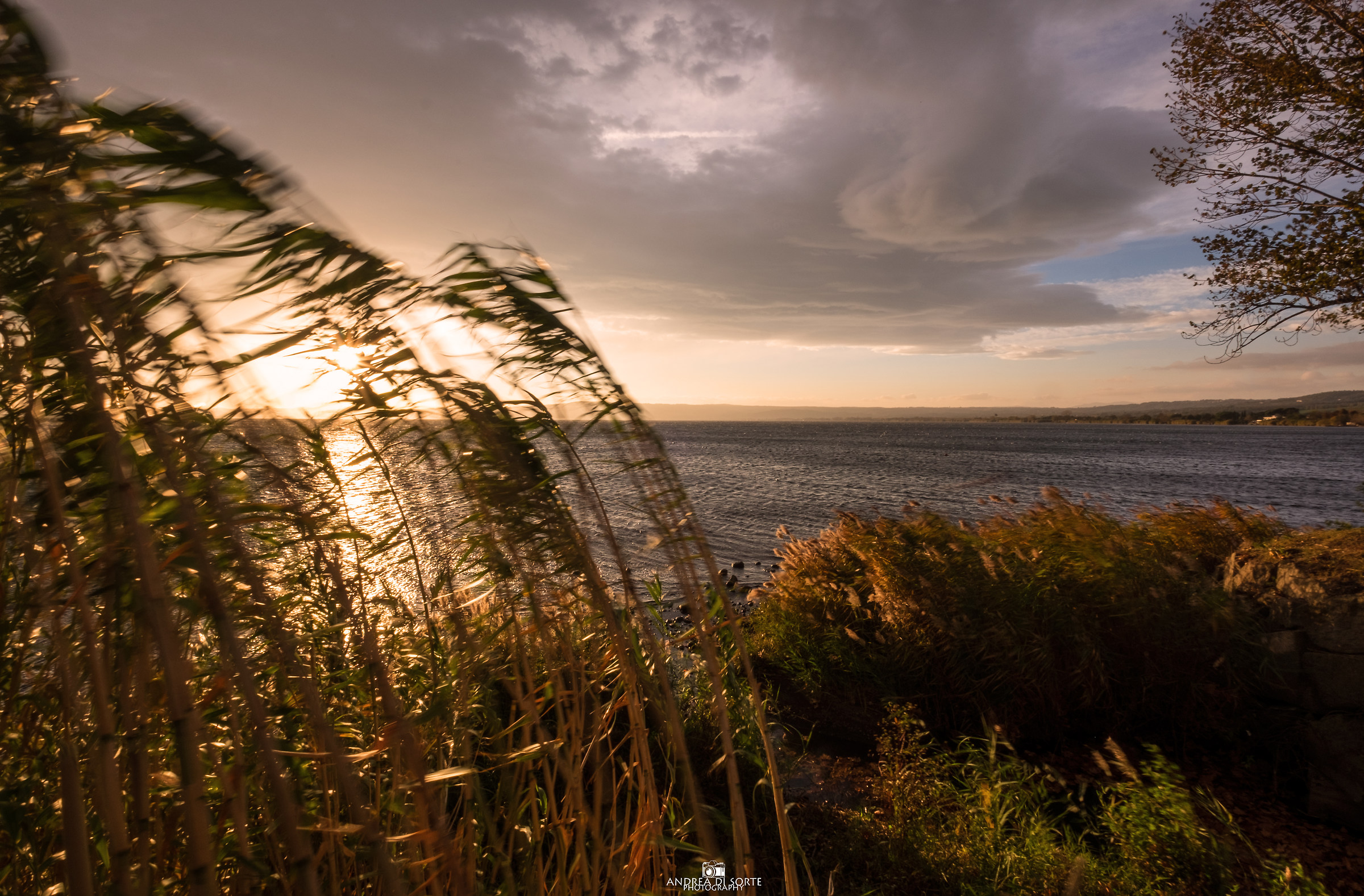 Immersed in Nature, for the last sun