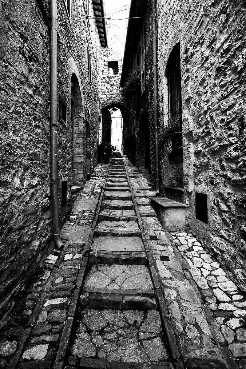 how much life has gone by here