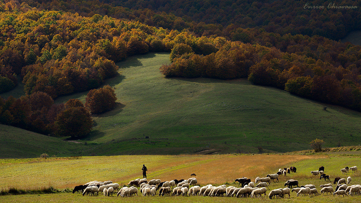Passando per Castelluccio