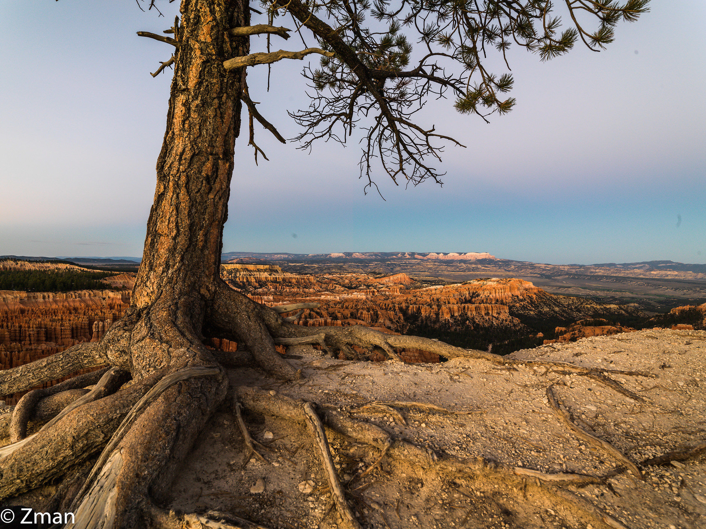 Bryce National Park