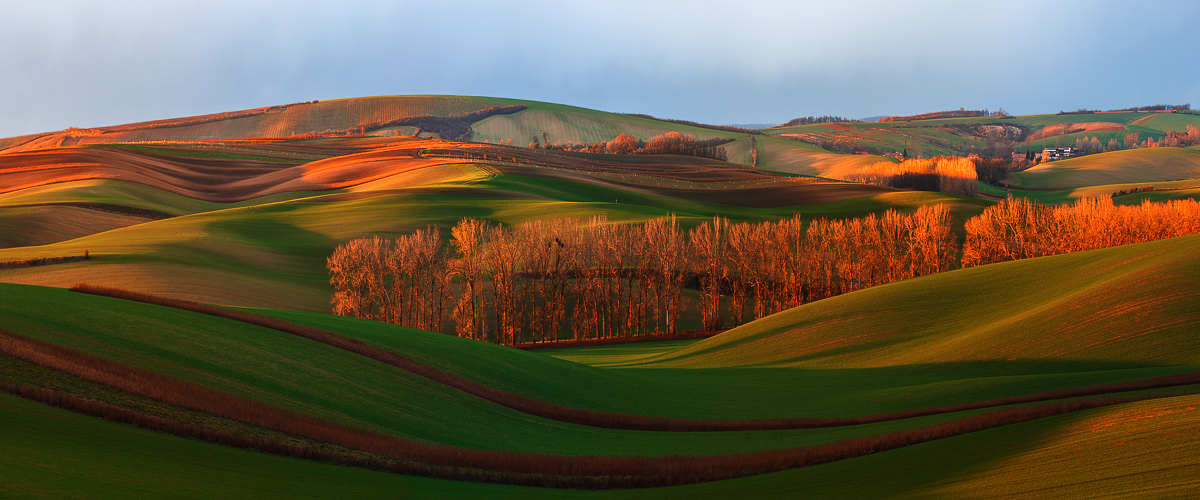 Moravian Autumn Field