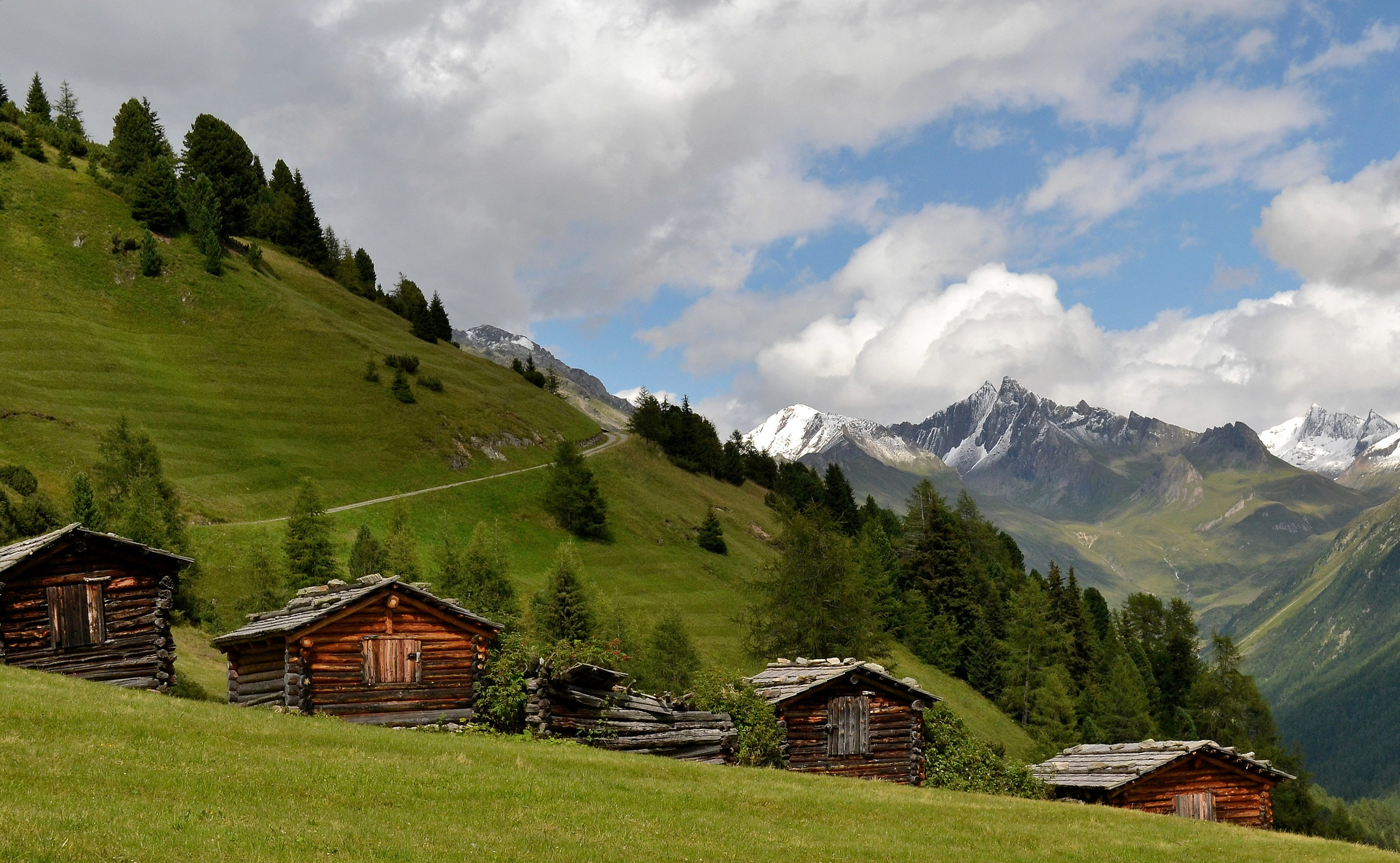 Valley Rein -Lobiser Schupfen