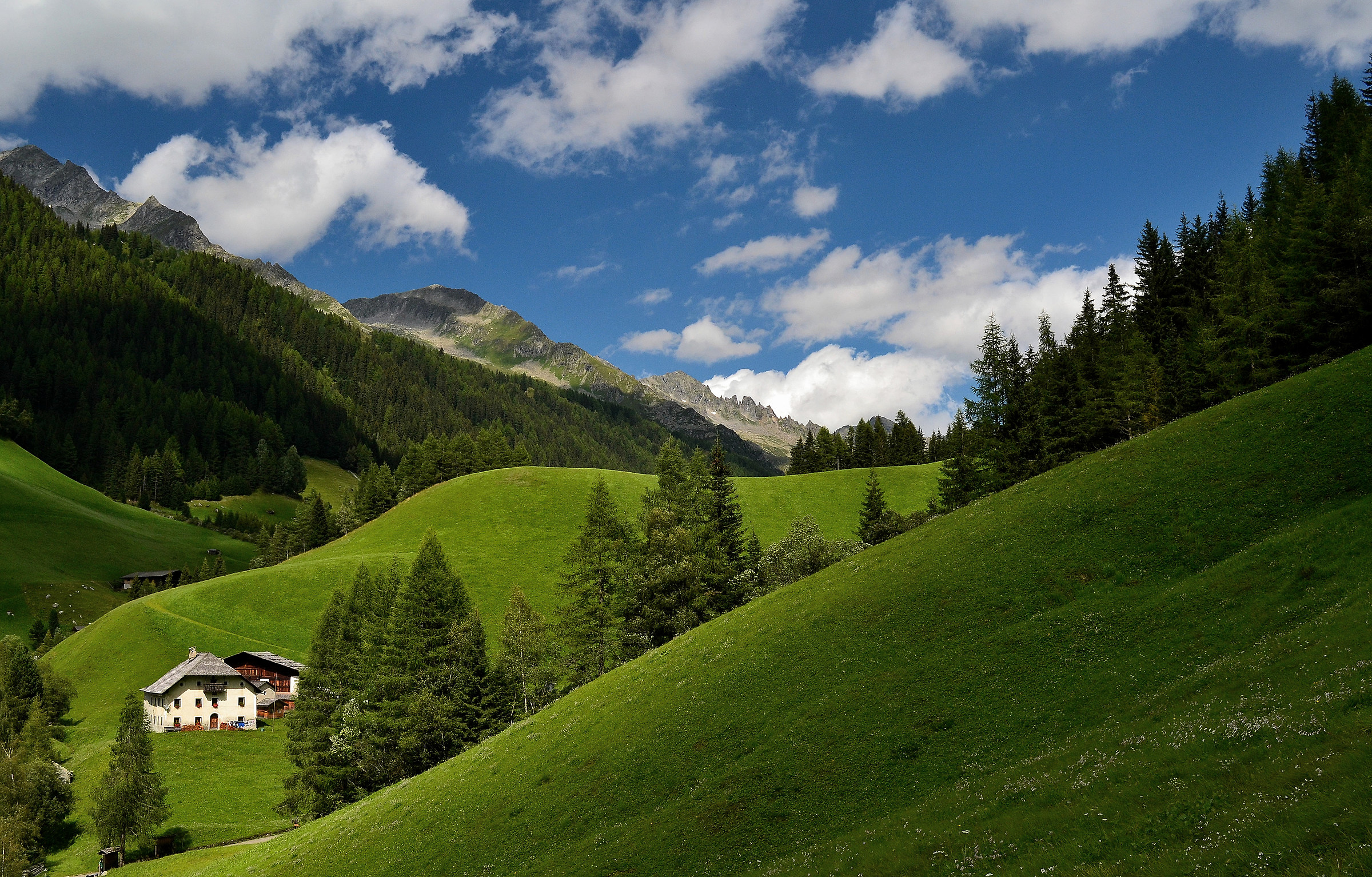 Casere Valley aurina