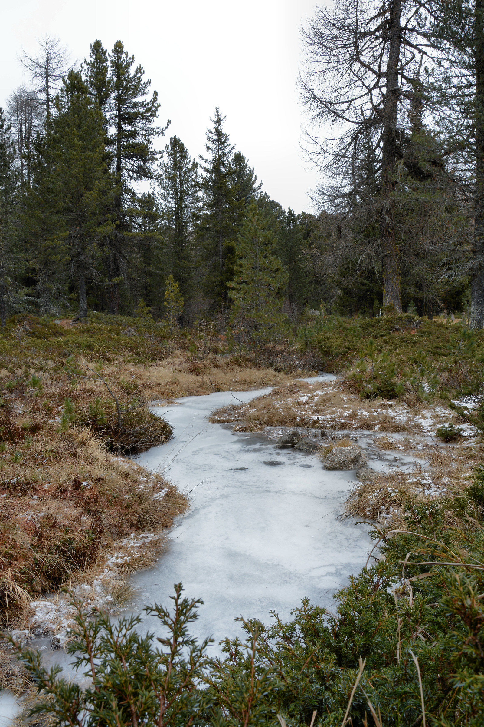 Risalita al Lago Saoseo