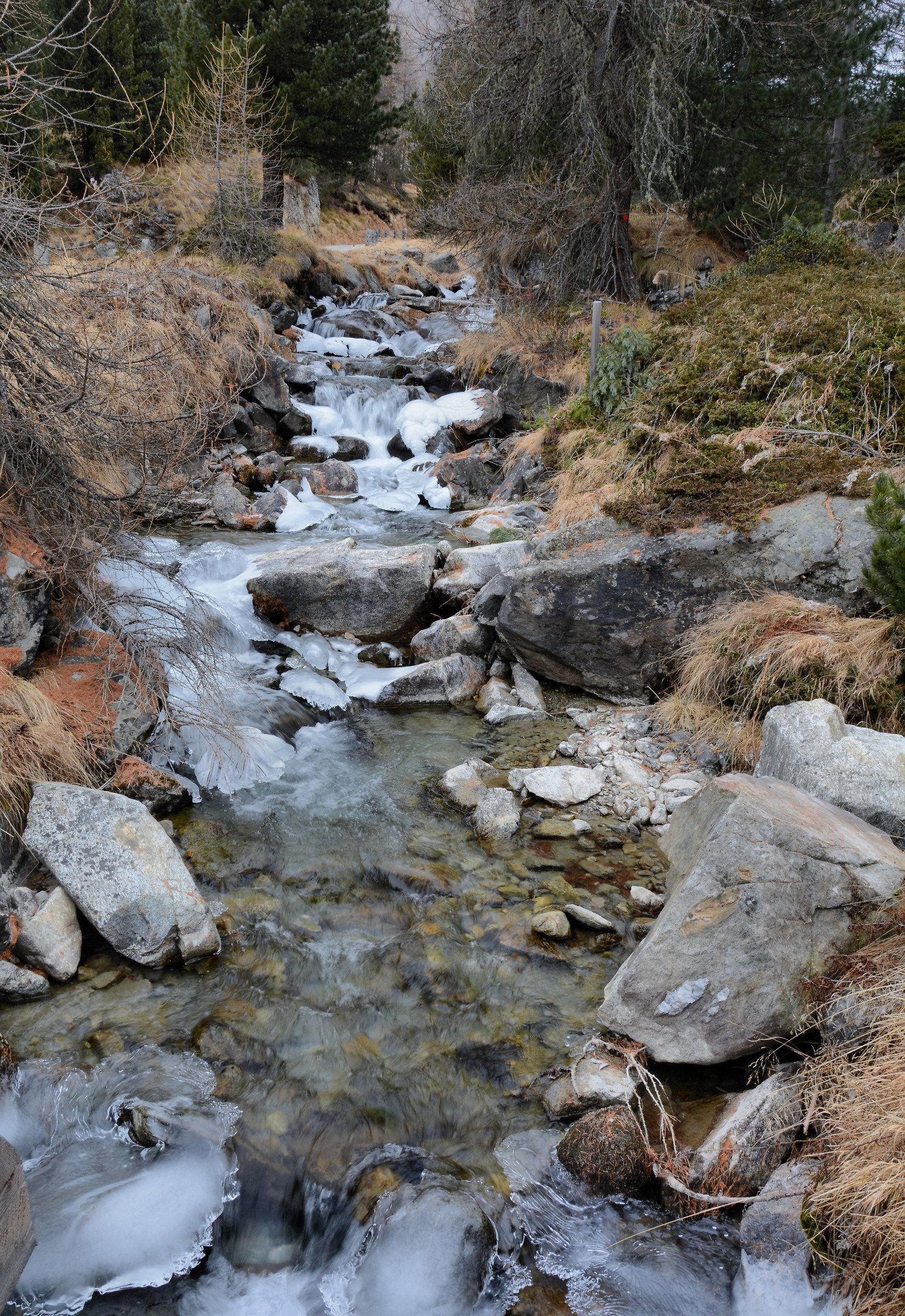 Andando verso l'inverno...