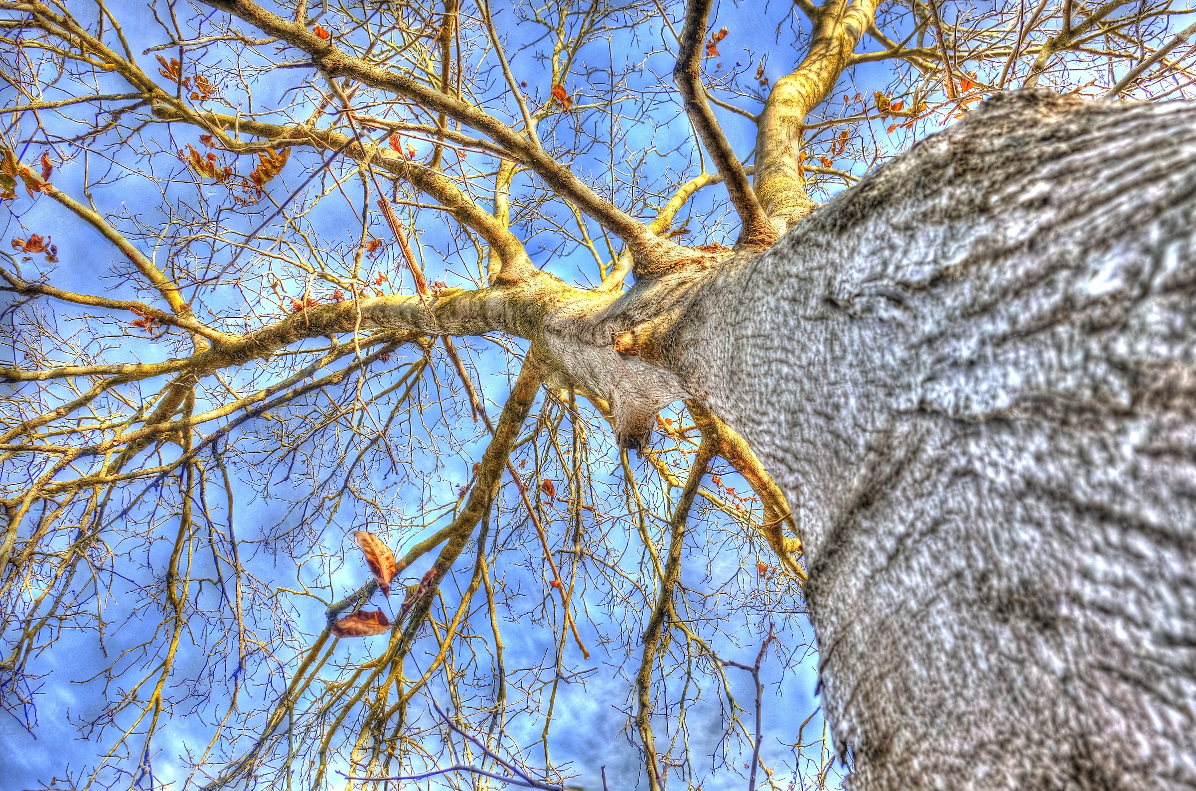 "It is like autumn ..."