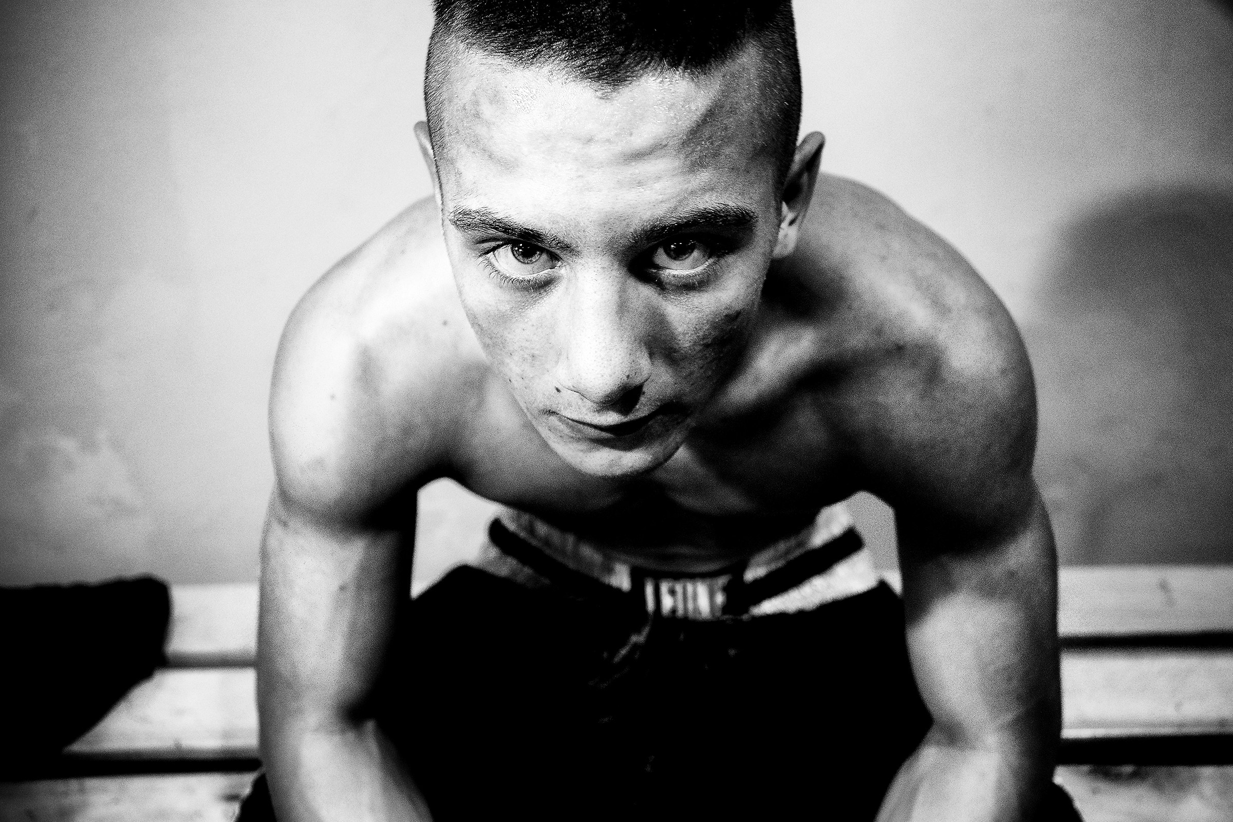 Portrait of a young boxer