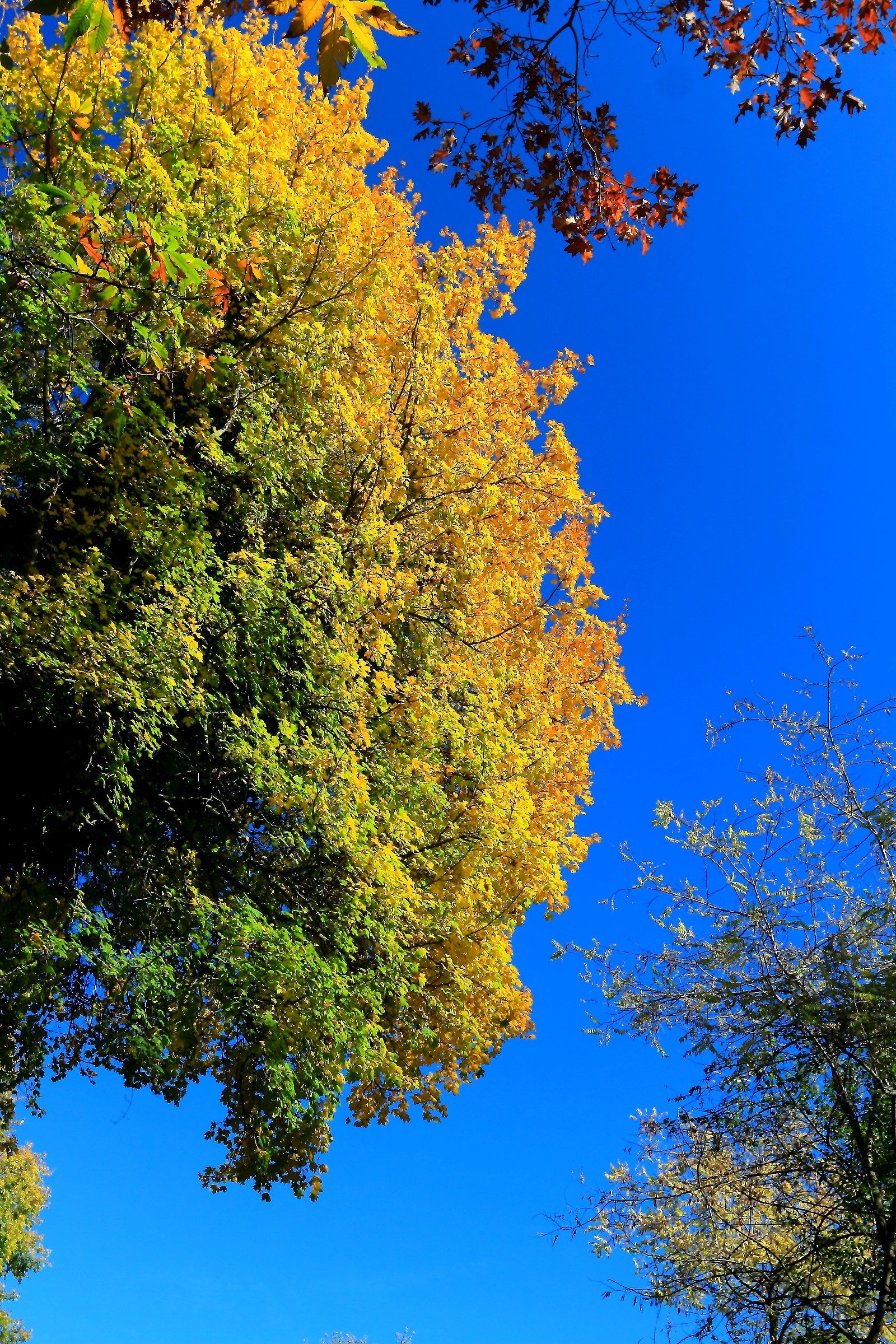 Autunno e i suoi colori