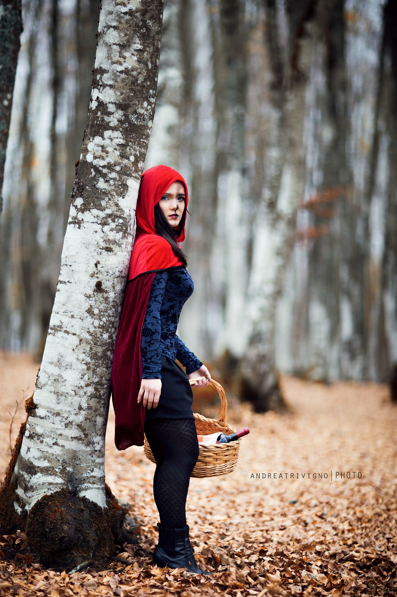 Mariangela - Little Wolf 2