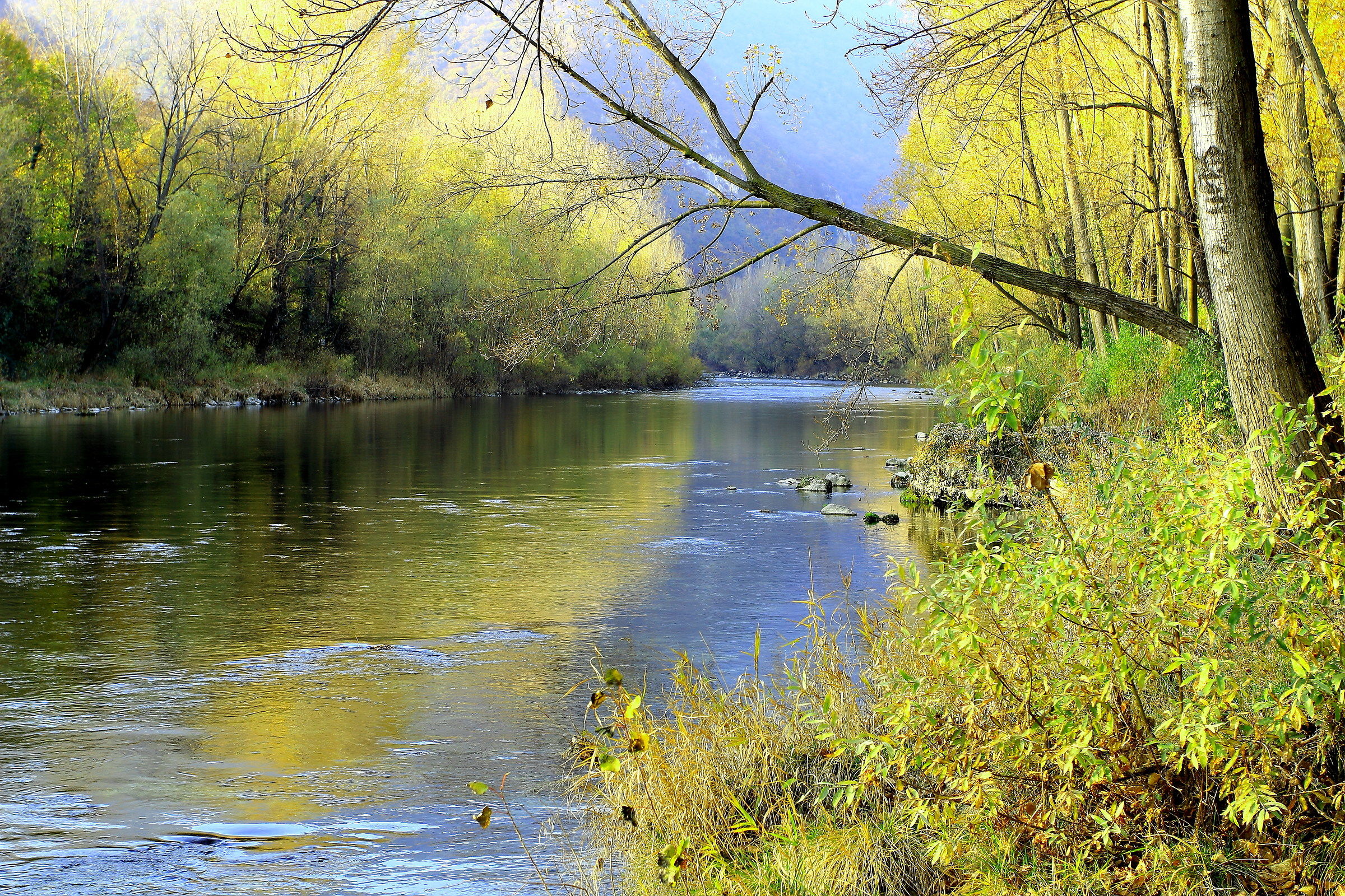 Il Brenta a nord di Bassano