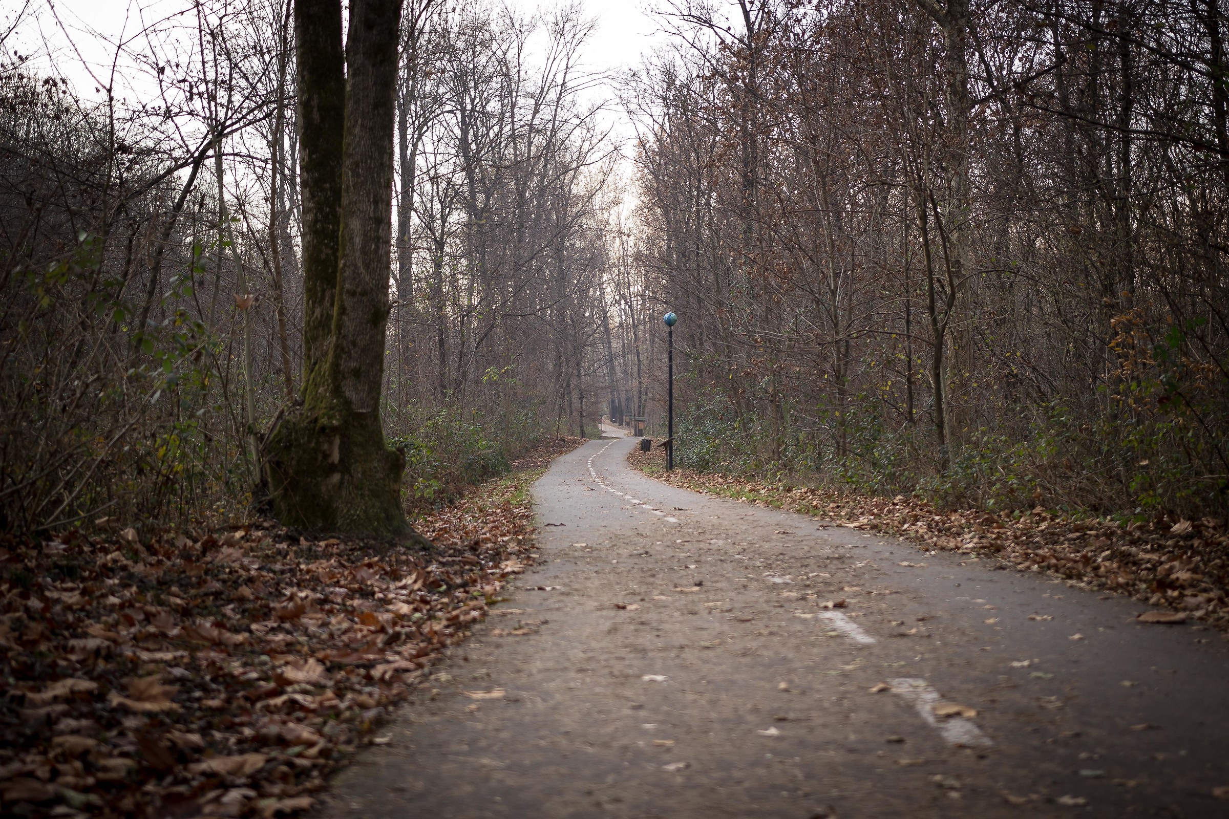 Sunday on the path ....