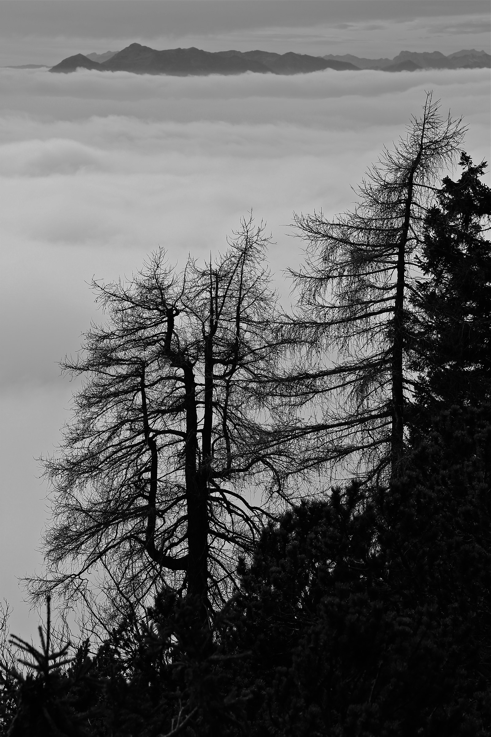 Naufraghi in un mare di nuvole.