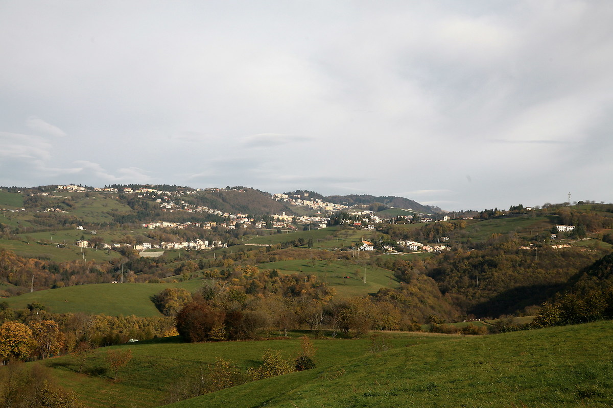 Bosco chiesanuova-Corbiolo