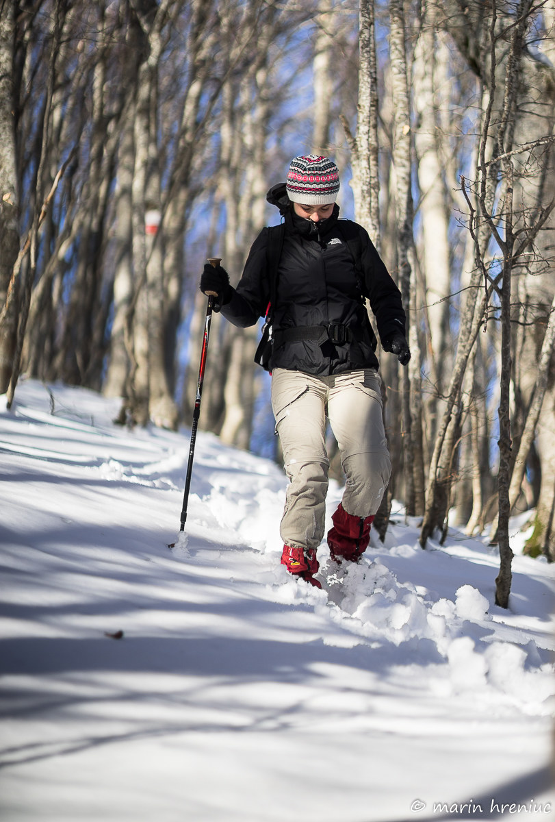 trekking to the Snow