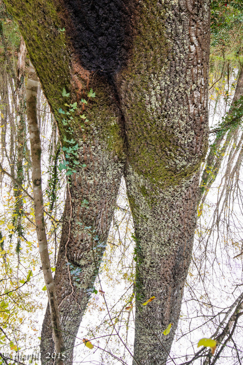 Each reference is purely coincidental