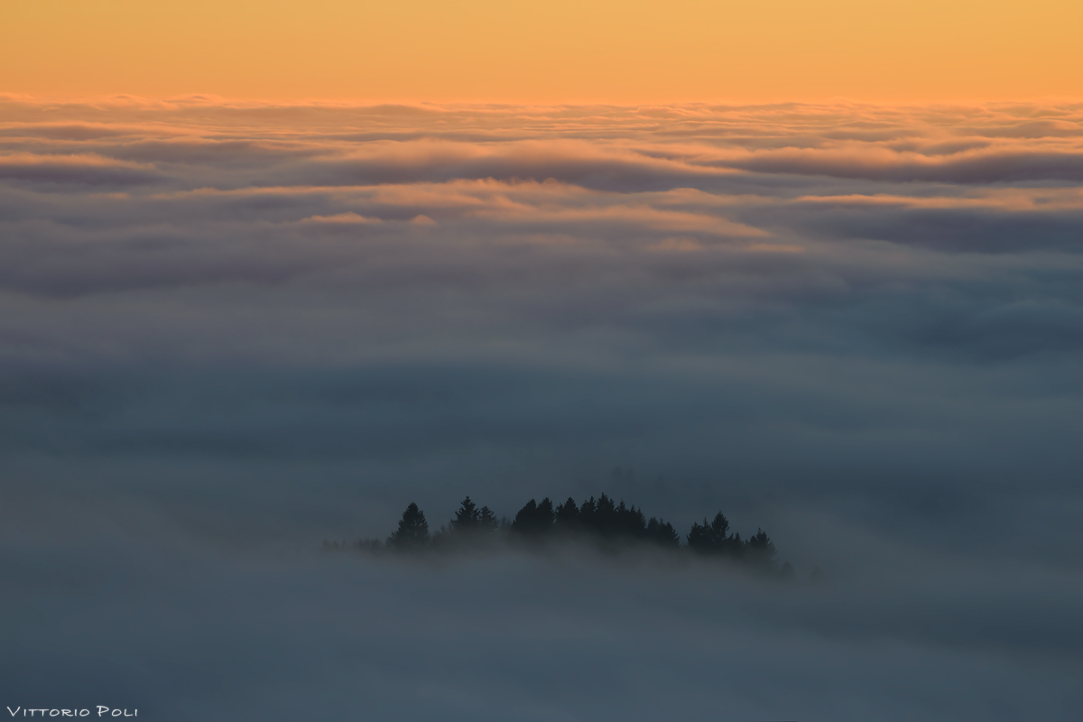 Above the forest tranquility reigns