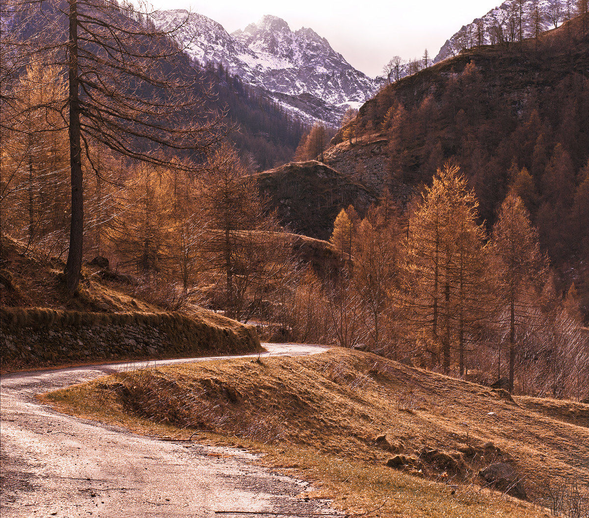 Towards the mountain