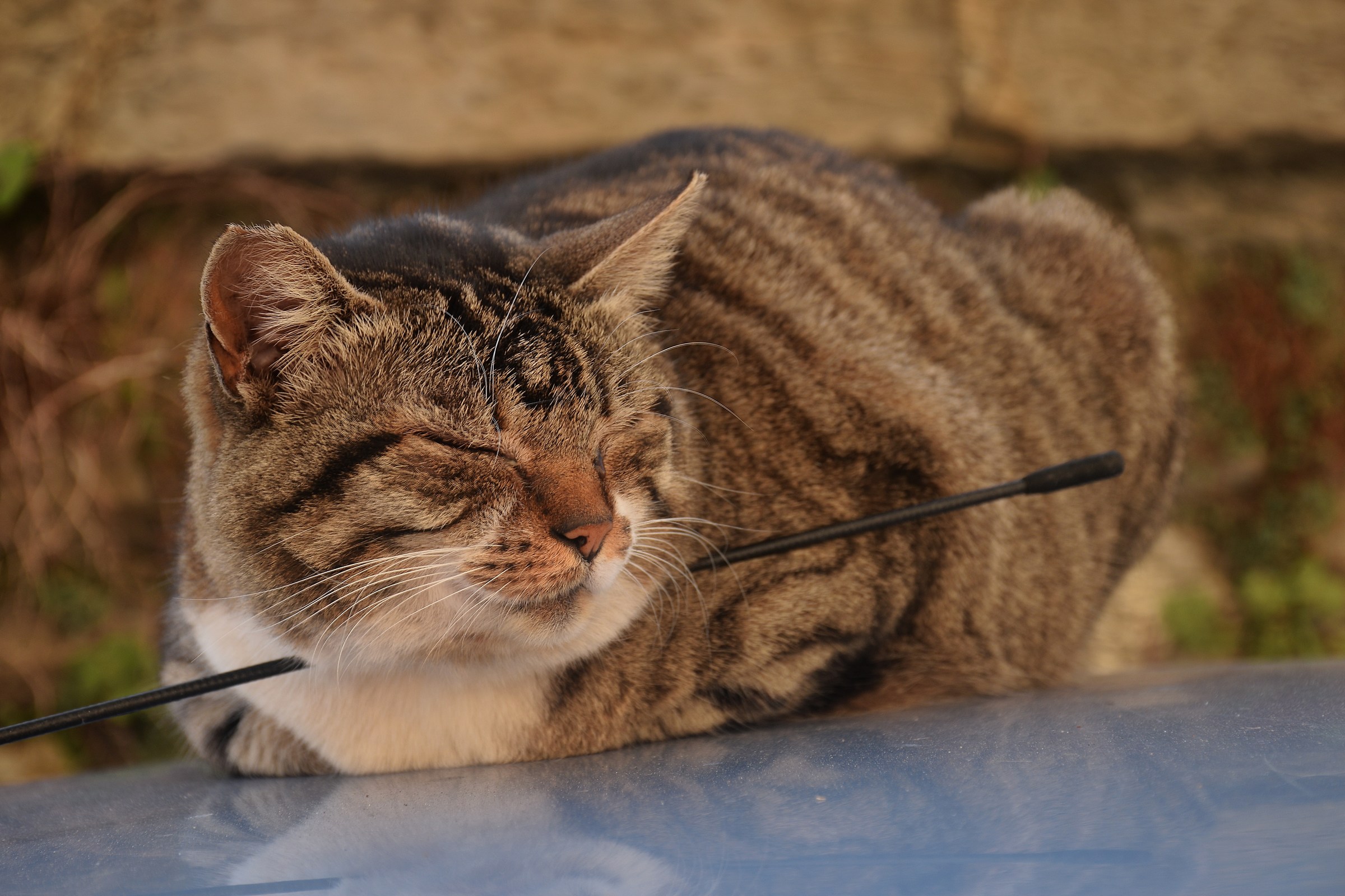 I take two beams !!!!