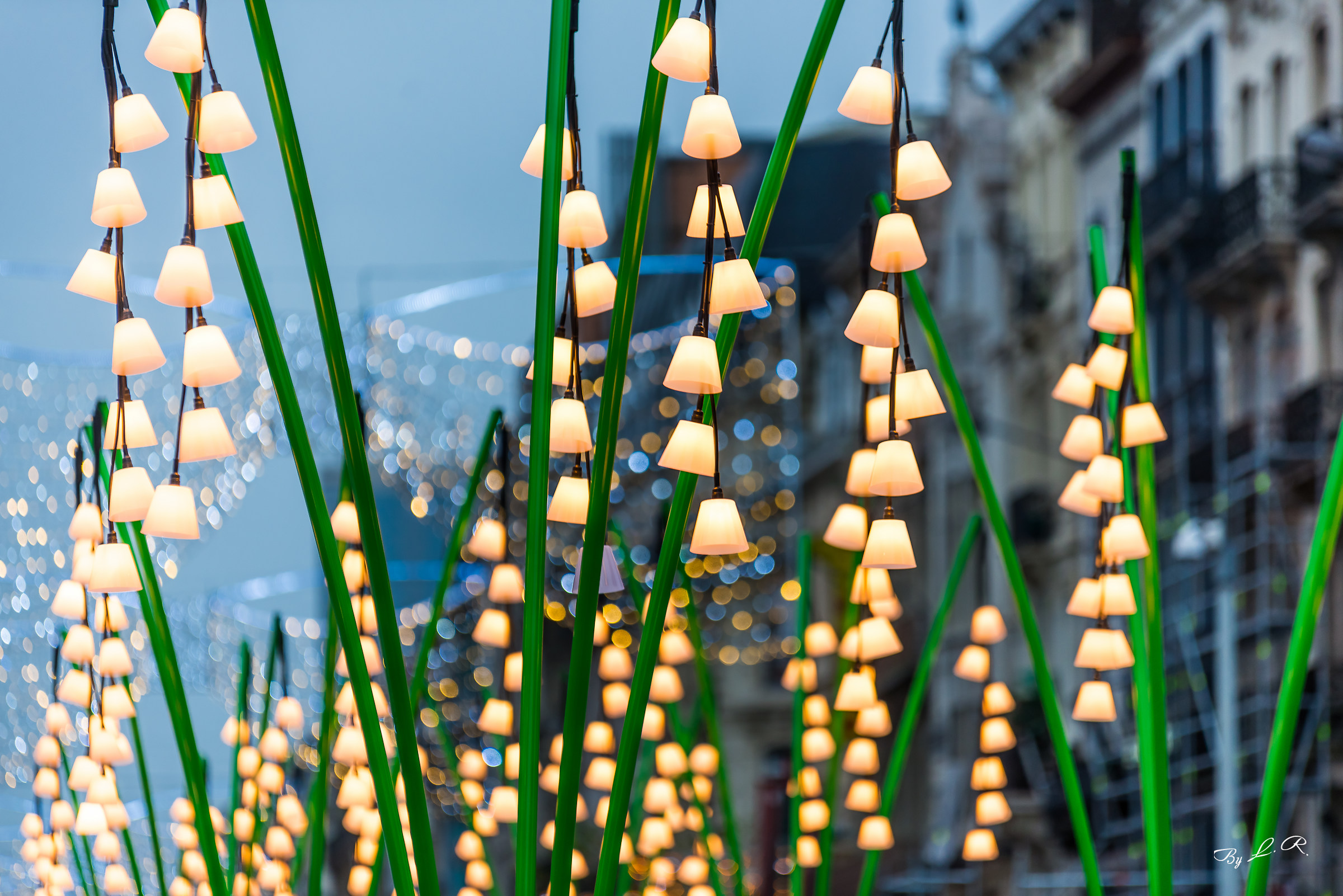 Christmas Market in Brussels
