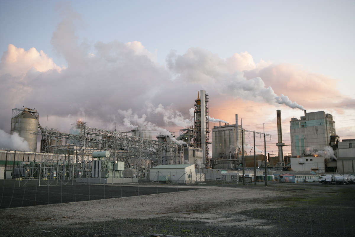 Nuova Zelanda fabbrica