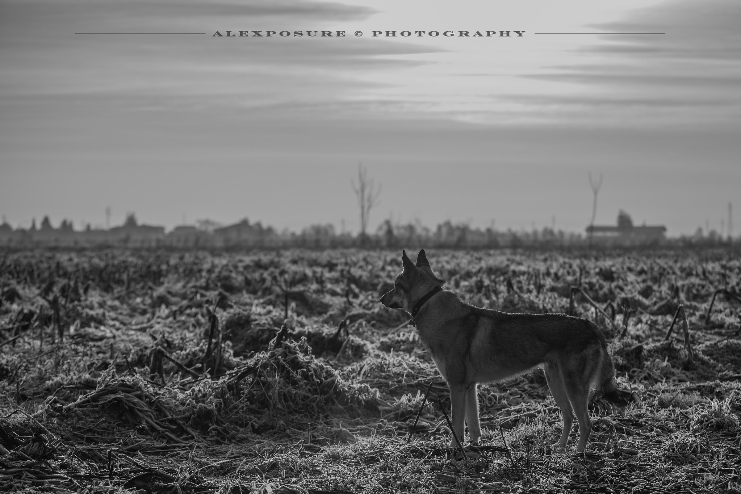 Another War? A possible scenery...