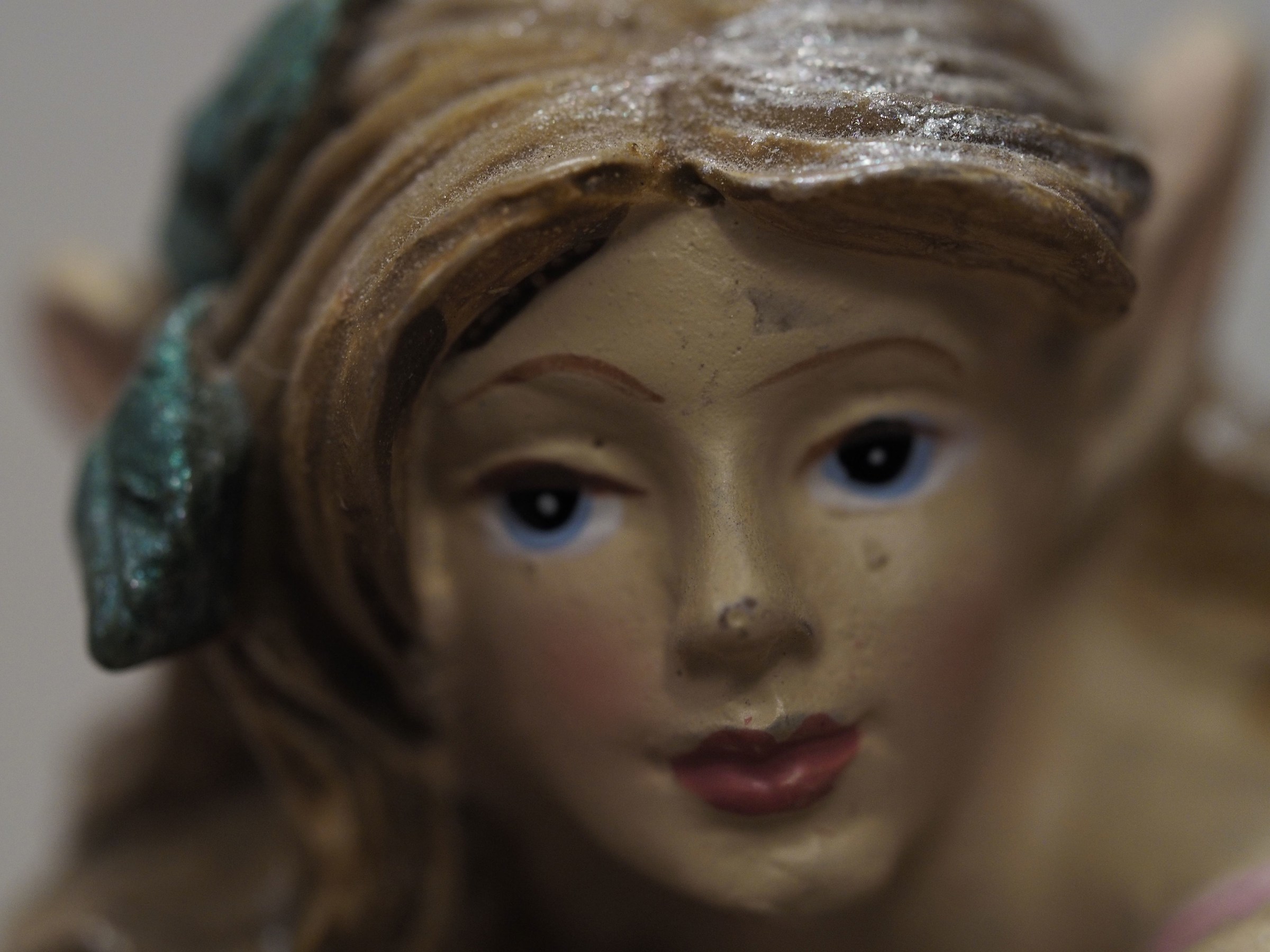 em1- Focus Stacling on camera 1o scatto