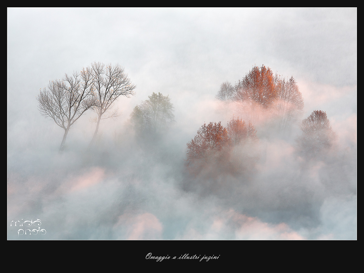 Omaggio a illustri juzini