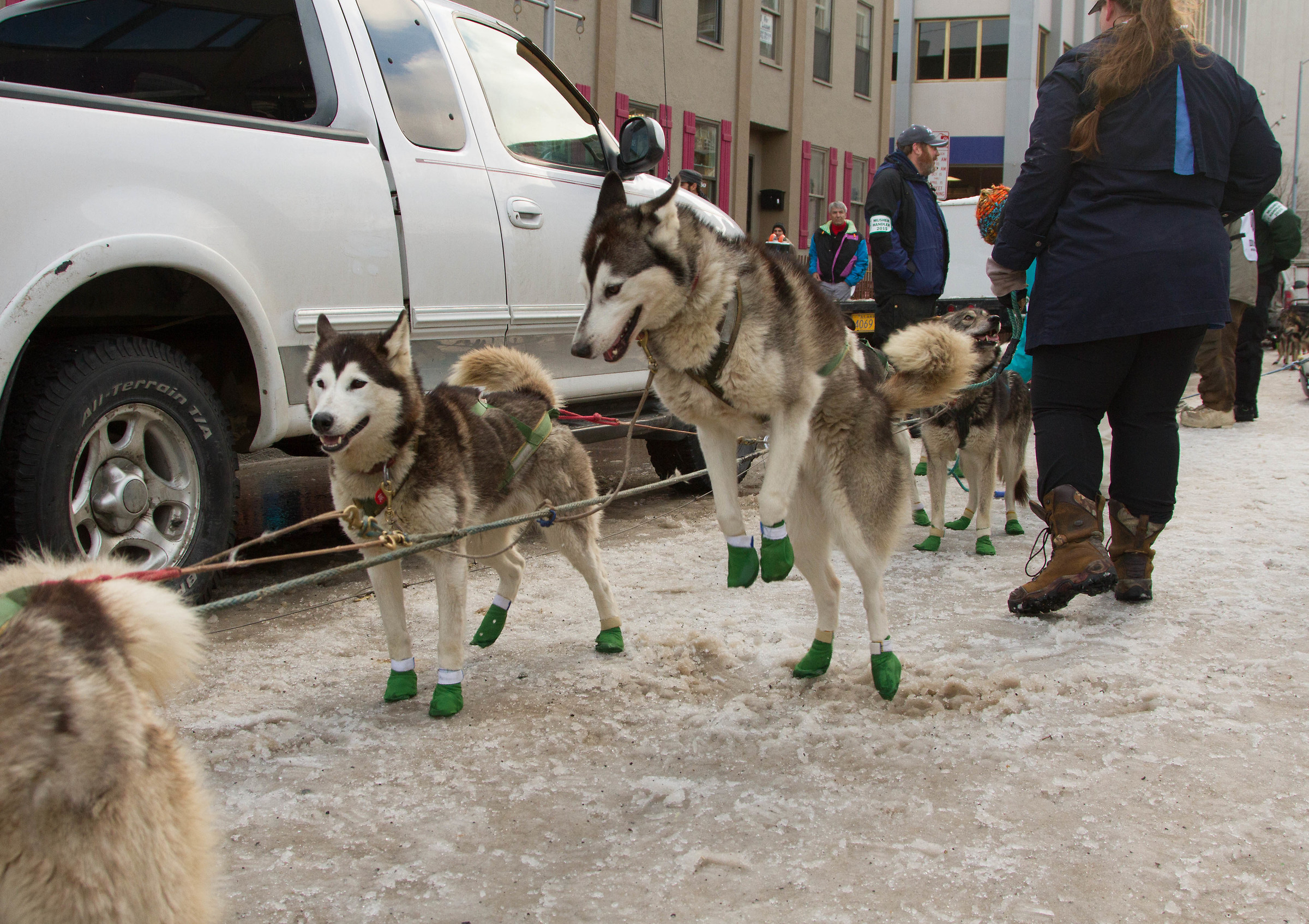 Iditarod