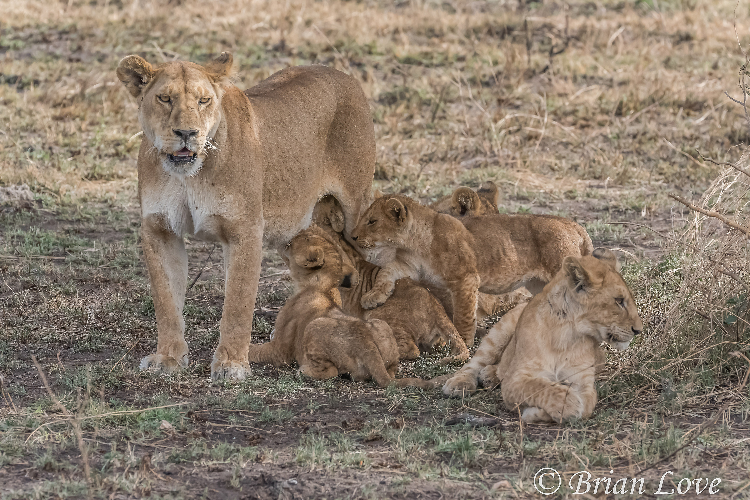 Make some room for me