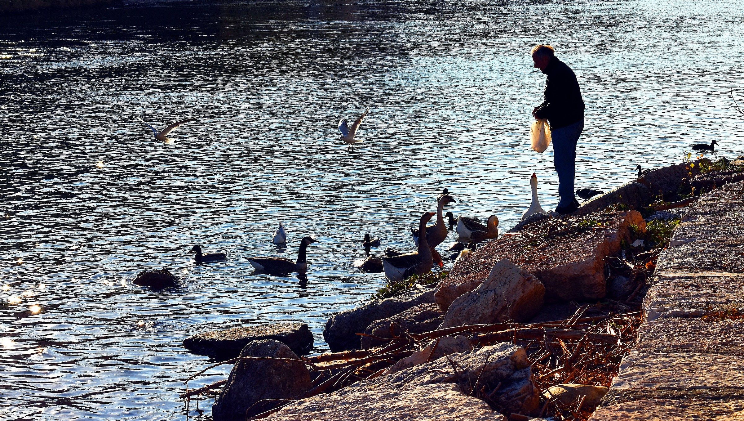 The old and the river