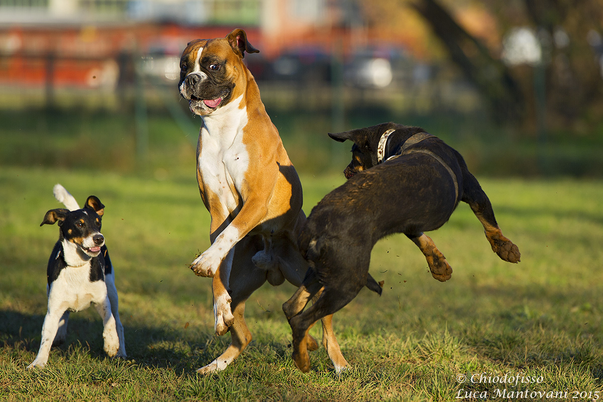 Hey, I missed ..... now what?