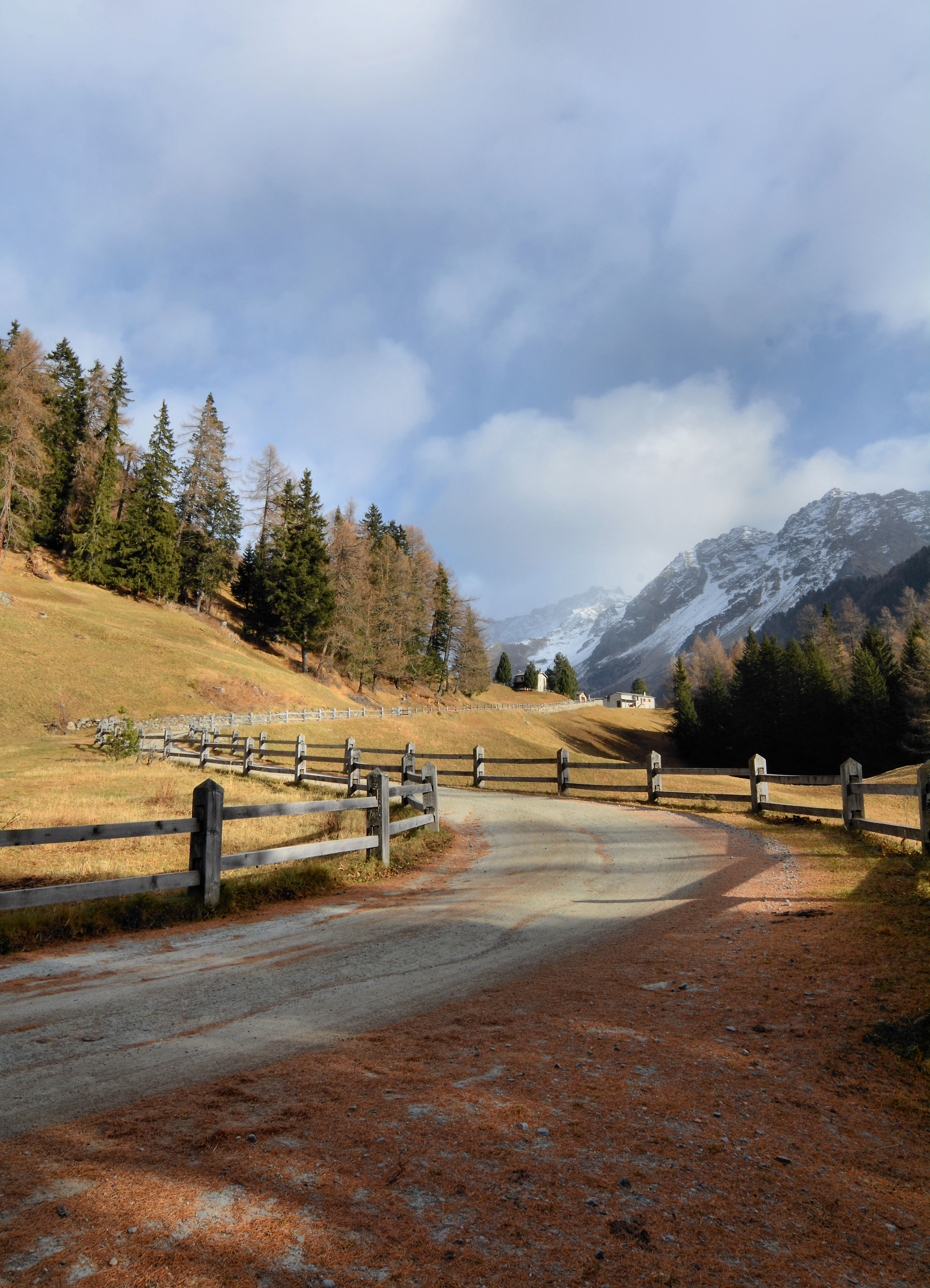Un poco di sole in Val di Campo