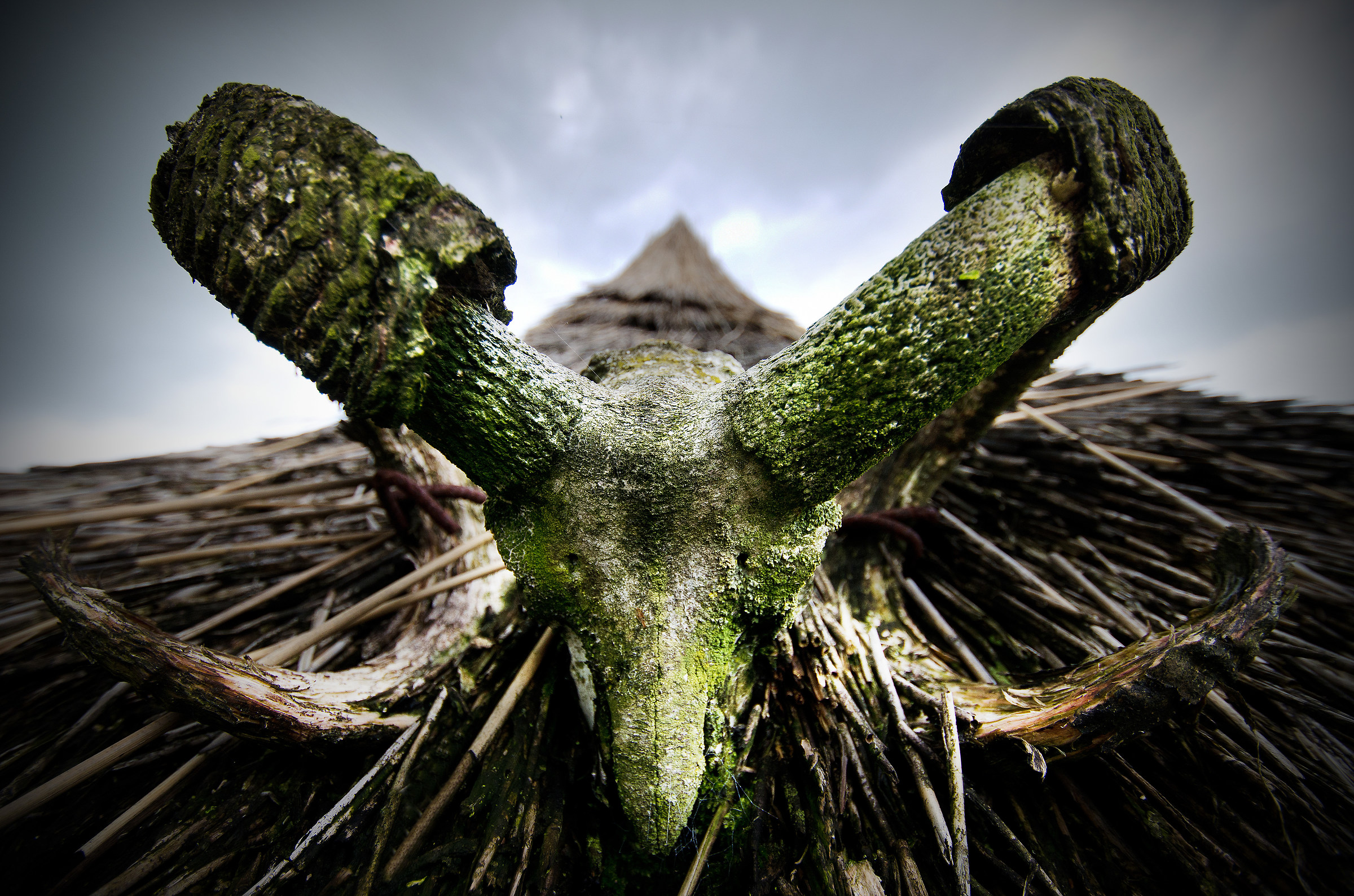 Ram's Skull, Iron Age Ancient Farm