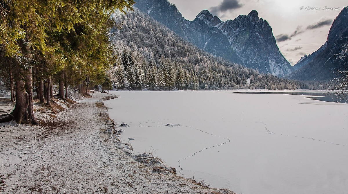 the path along the lake
