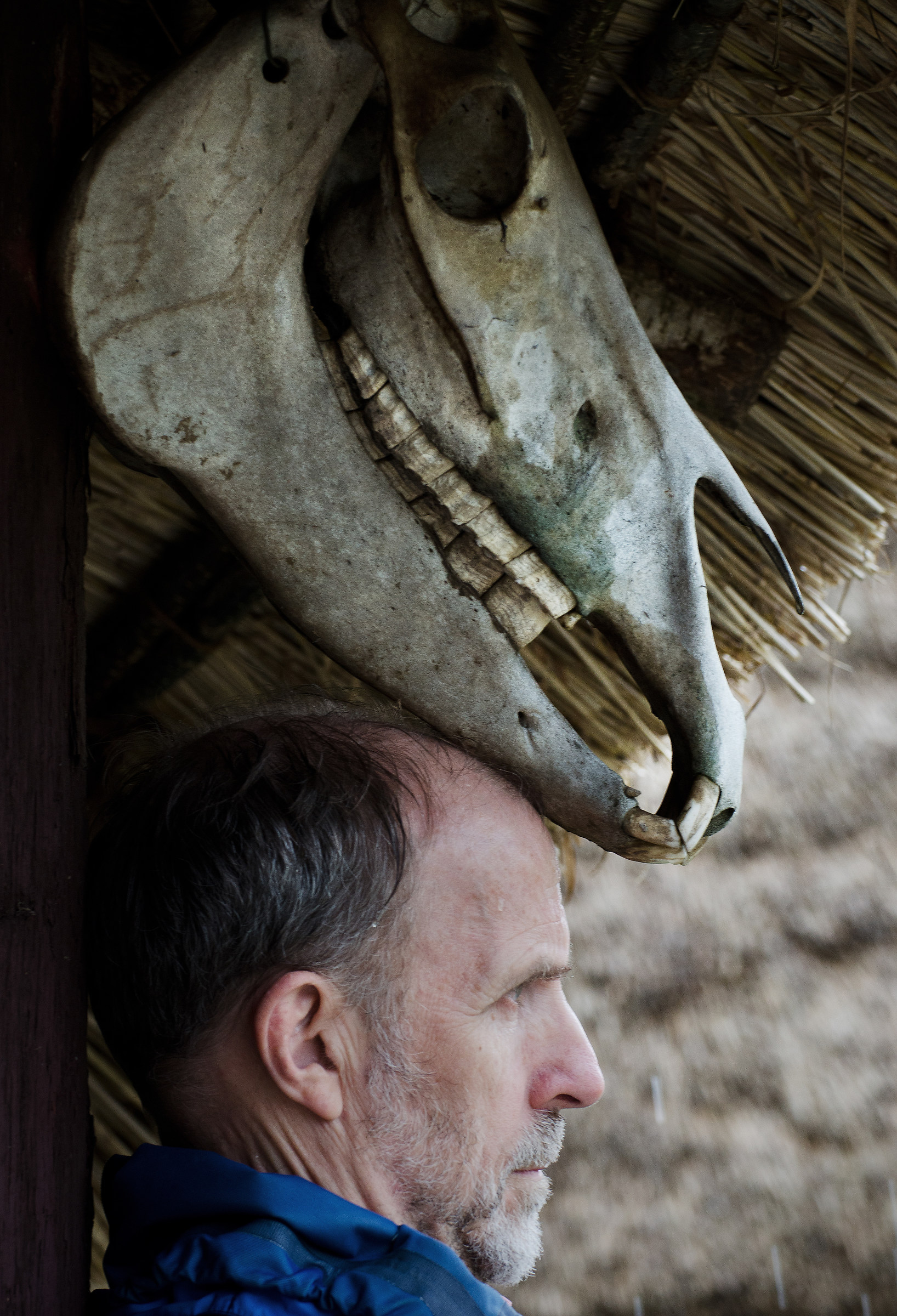 Standing under the Horse's Skull...