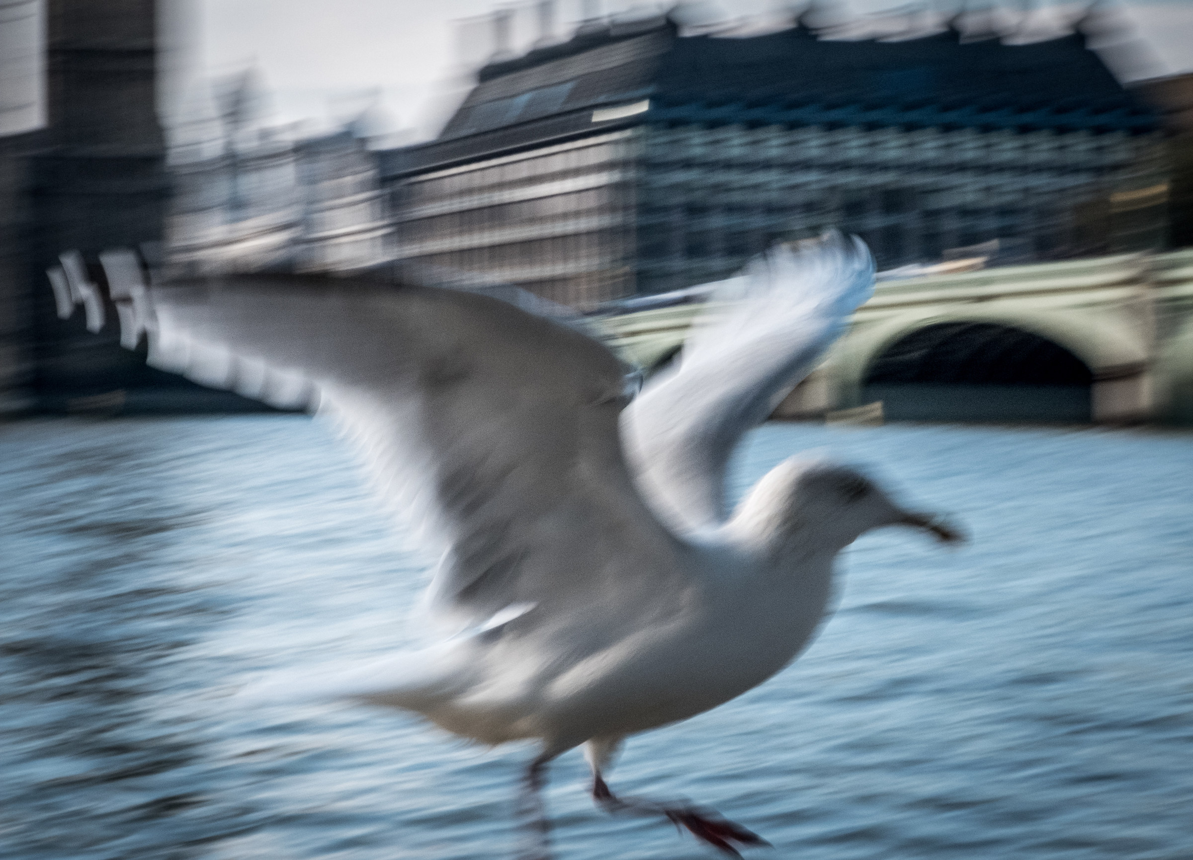 ... While he escapes