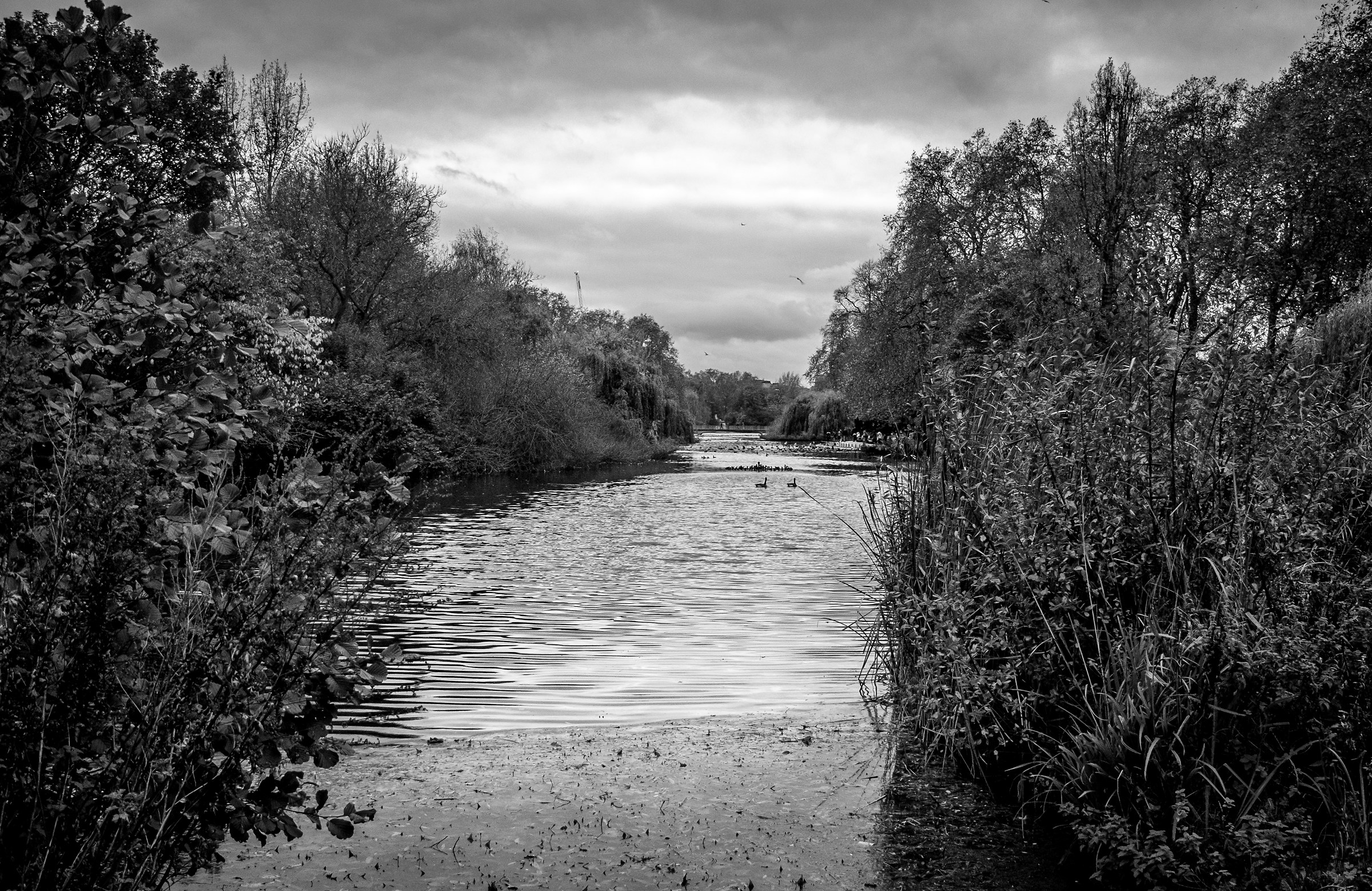 Gray Sunday in good weather