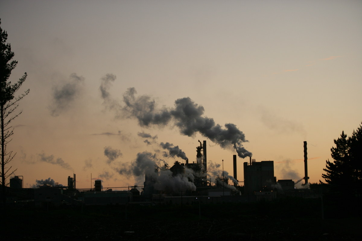 Nuova Zelanda fabbrica